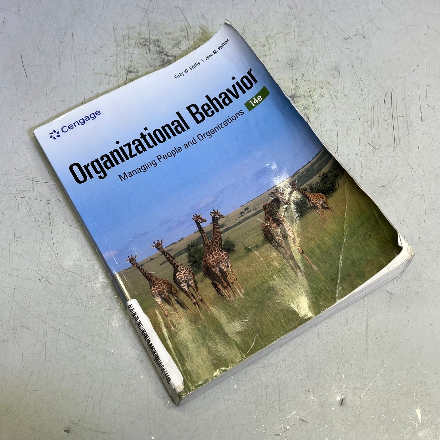 ORGANIZATIONAL BEHAVIOR Managing People & Organizations Paperback Book (As-is)