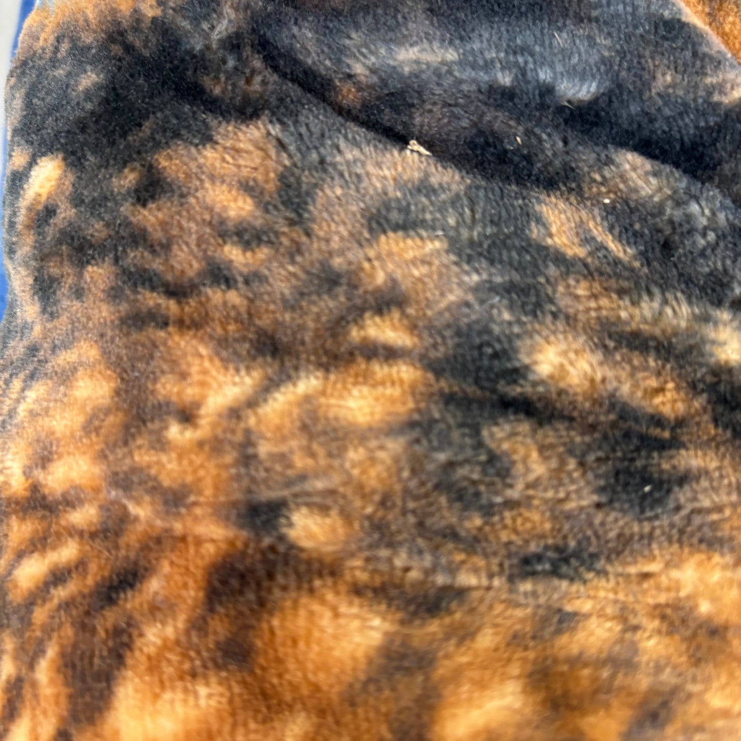 HOT Super Soft Fleece Blanket Wolfs Howling at the Moon Print One Sz(Full Size)