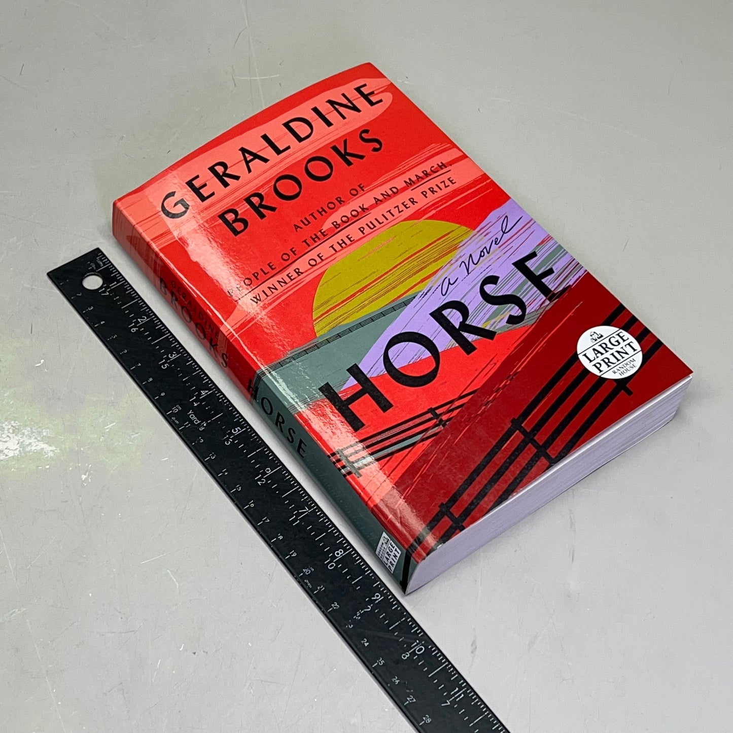 HORSE Animal Fiction Novel By Geraldine Brooks Paper Back Book Large Print