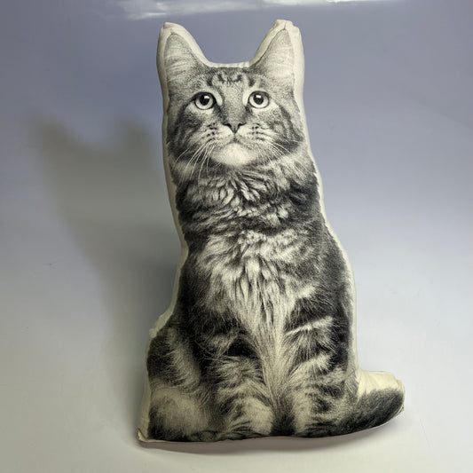 BRODERPRESS Hand Silkscreened Contoured Maine Coon Pillow 17"x11" Black & White
