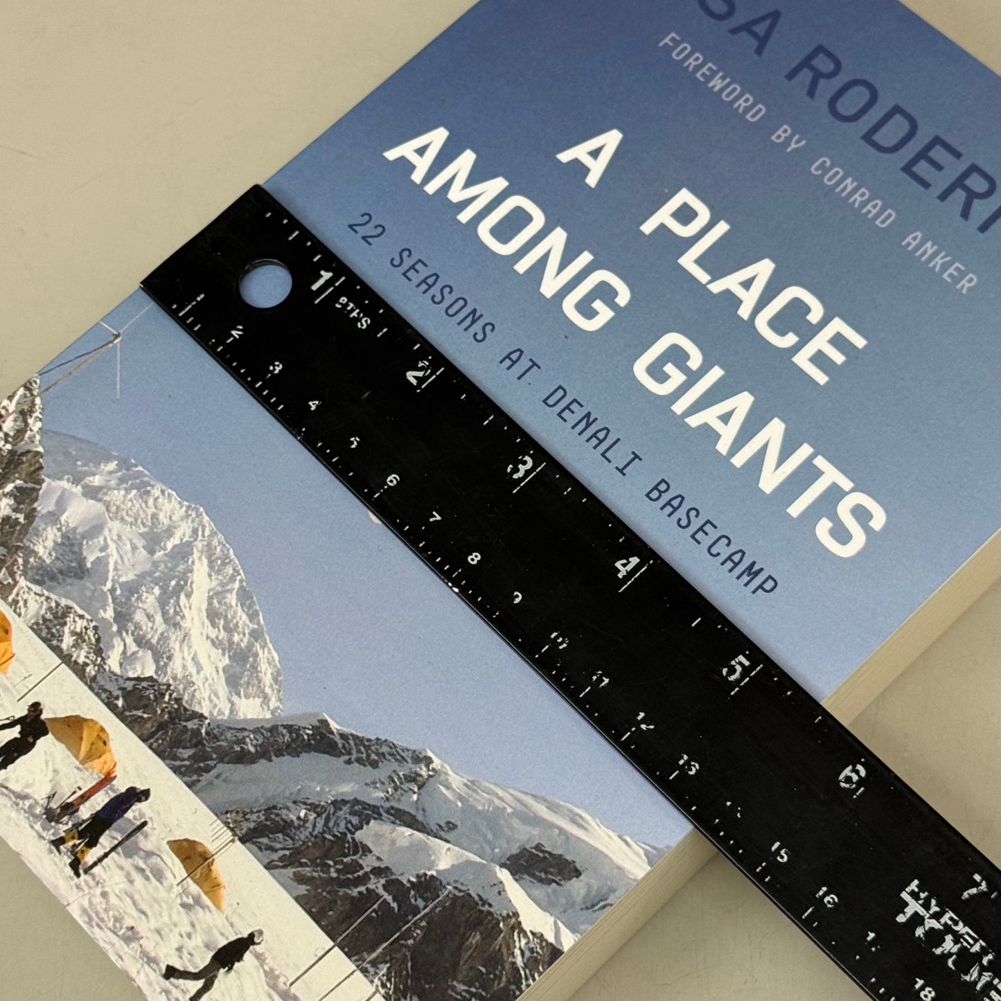 DAP BOOKS By Lisa Roderick A Place Among Giants 300Pages