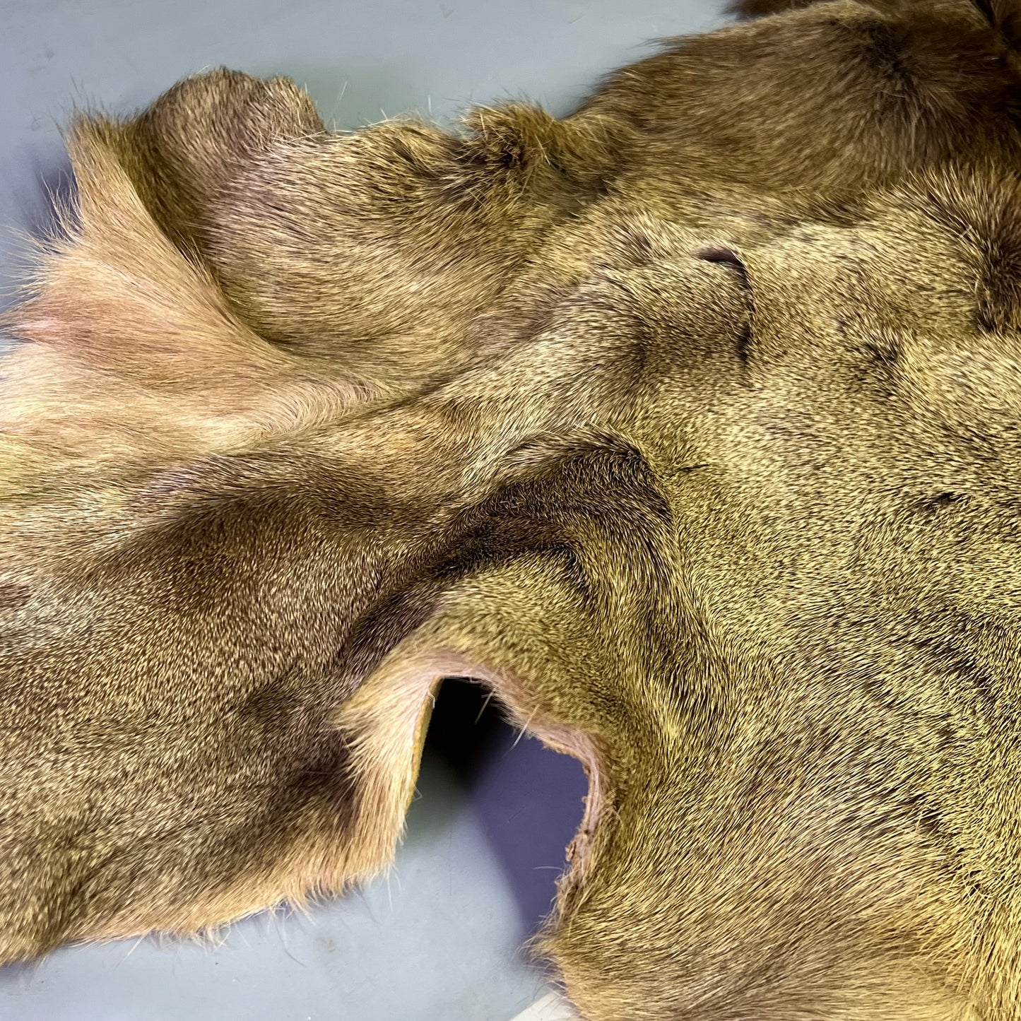 Large Real Elk Hide Rug/Home Décor 68"X55" Brown/Tan