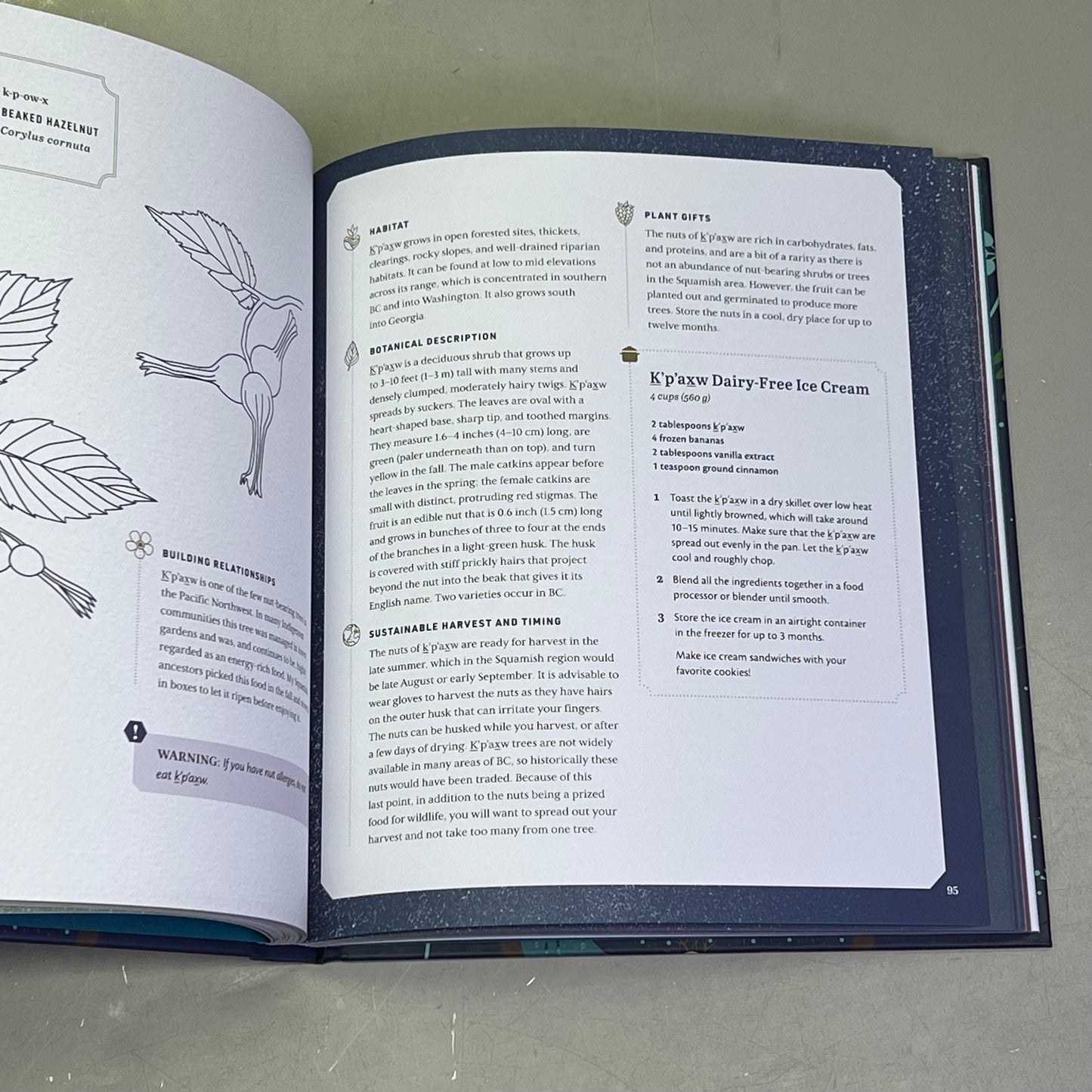 HELD BY THE LAND A Guide To Indigenous Plants For Wellness By Leigh Joseph