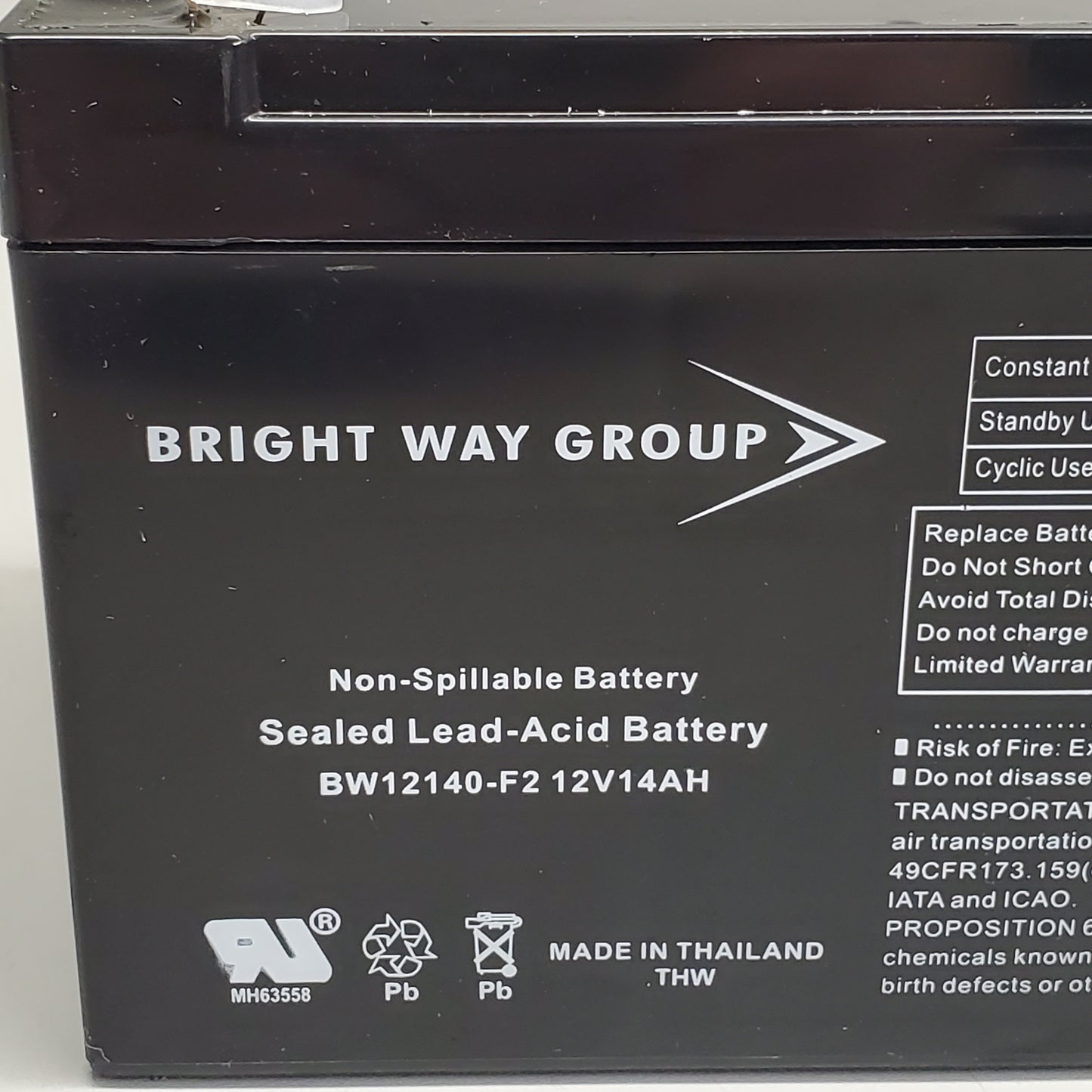 Bright Way Group Non-Spillable Battery 12V 14AH BW12140-F2