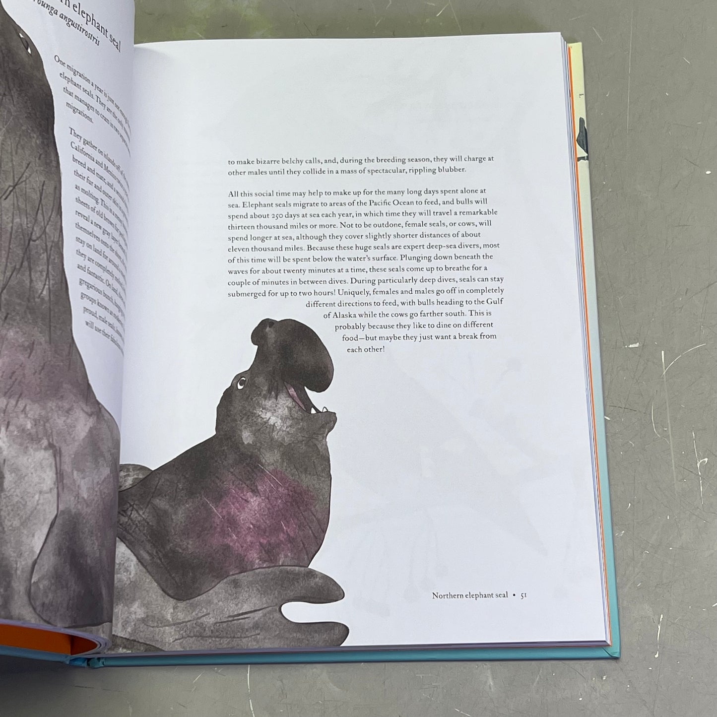 THE ATLAS OF MIGRATING PLANTS & AMINAL Hardback Book By Megan Lee (As-is)