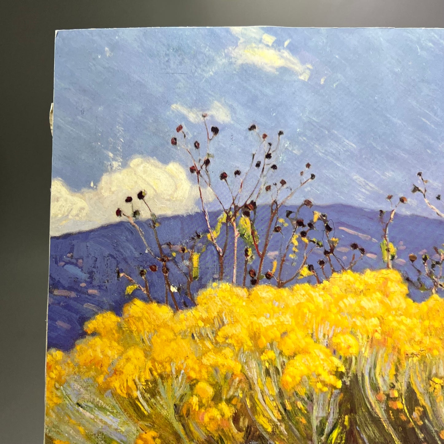 E. MARTIN HENNINGS Desert Land Painting On Foam Board 19"x15" (Like New)