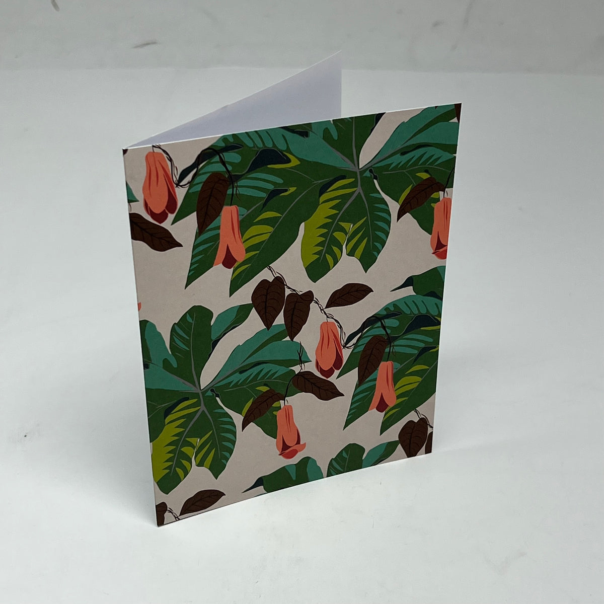 POMEGRANATE (16 PACK) Kate Blairstone Notecards In Slipcase Box 4x6" BX800