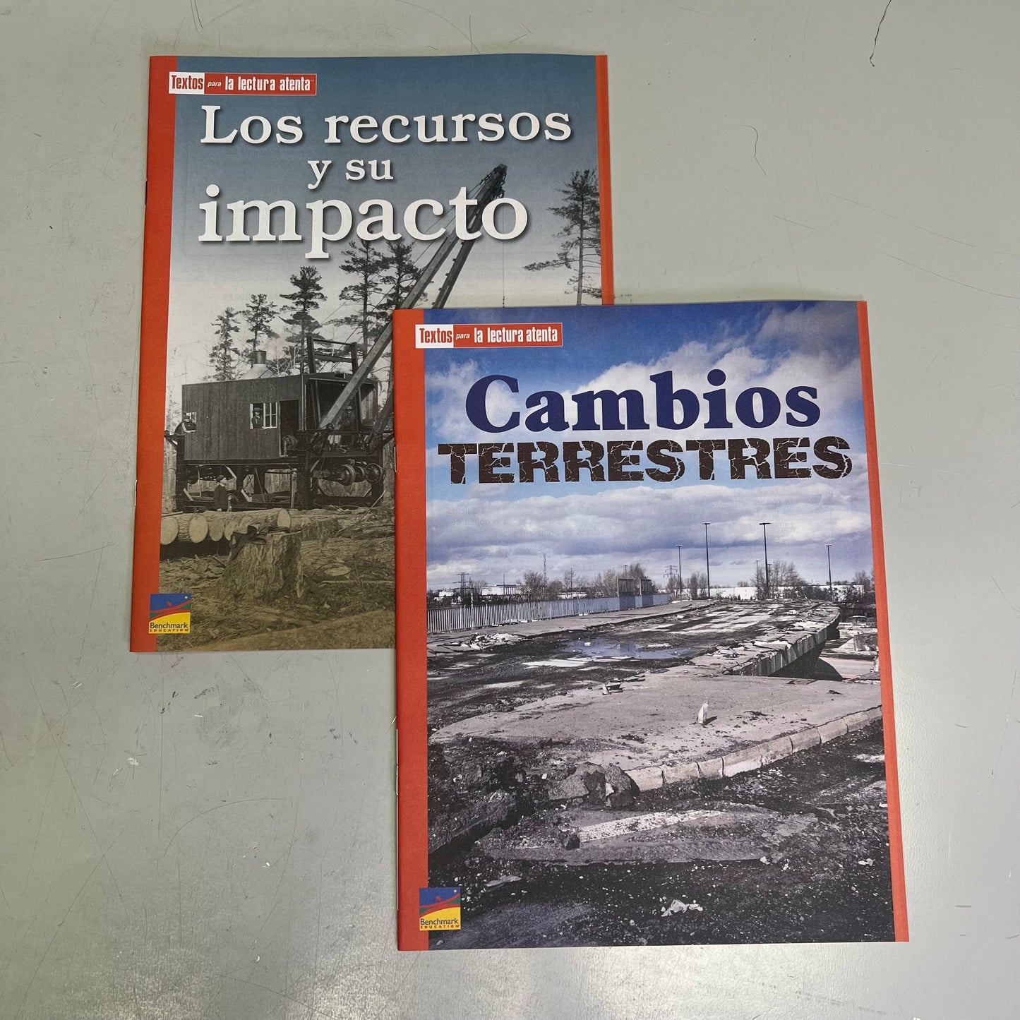 BENCHMARK EDUCATION (10 SET) Multiple Learning Point Books Grade 4 Spanish Edition