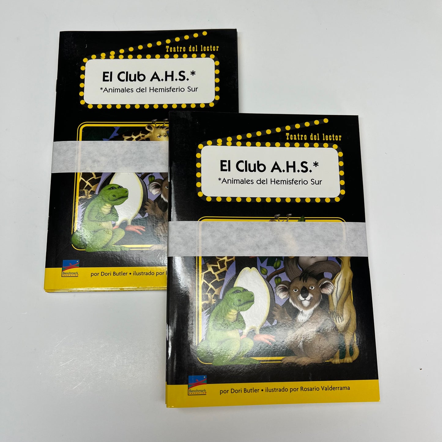 BENCHMARK Teatro Del Lector Grade 3 Small Group Readers Theater 1-5 V2  WH12186