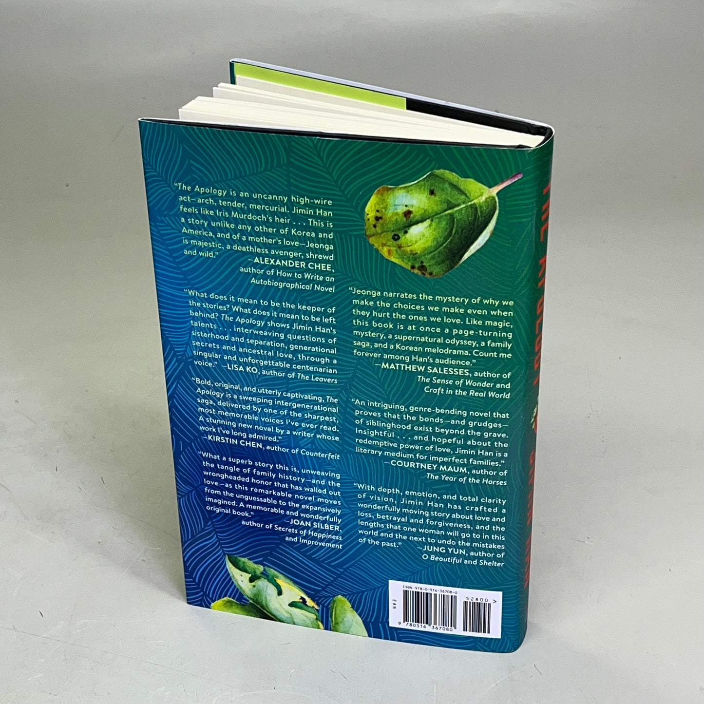 THE APOLOGY About A South Korean Matriarch Hardcover Book By Jimin Han