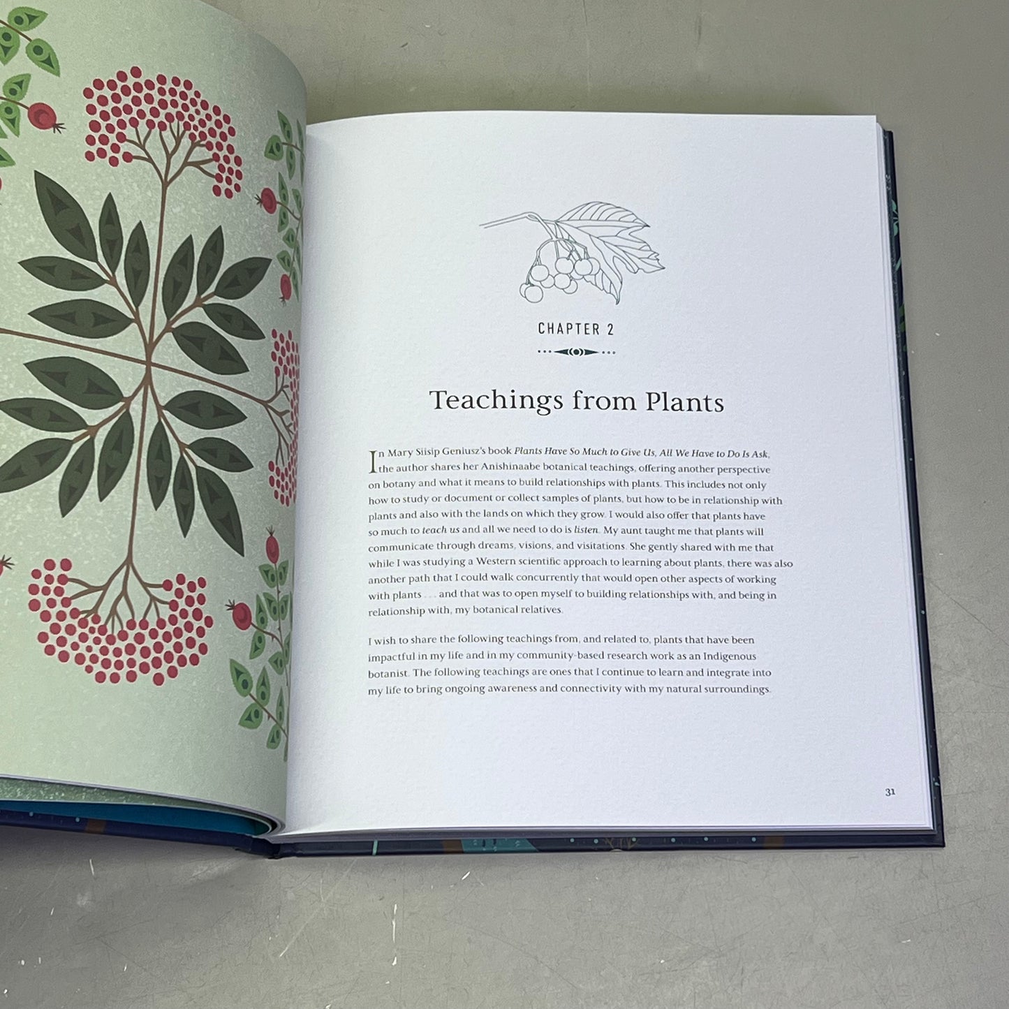 HELD BY THE LAND A Guide To Indigenous Plants For Wellness By Leigh Joseph