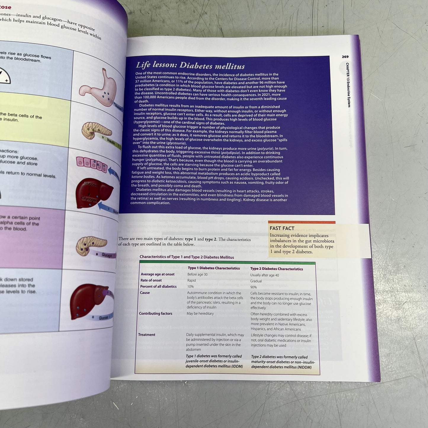 UNDERSTANDING ANATOMY & PHYSIOLOGY 4th Edition Paperback Book F.A. DAVIS