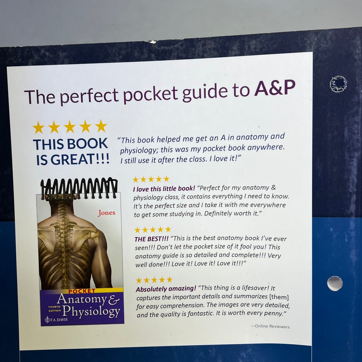 STUDY GUIDE FOR UNDERSTANDING ANATOMY & PHYSIUOLOGY 4TH ED Paperback Book