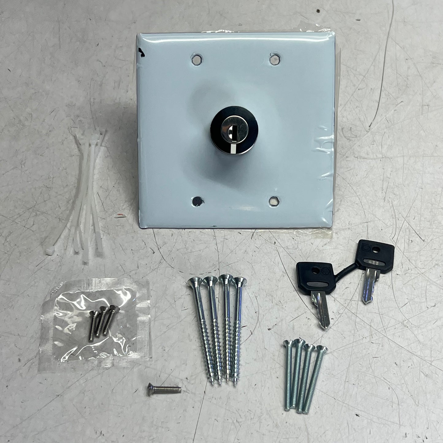 WON DOOR CORPORATION Keyswitch Assembly W/ Hardware for Door Silver 017741