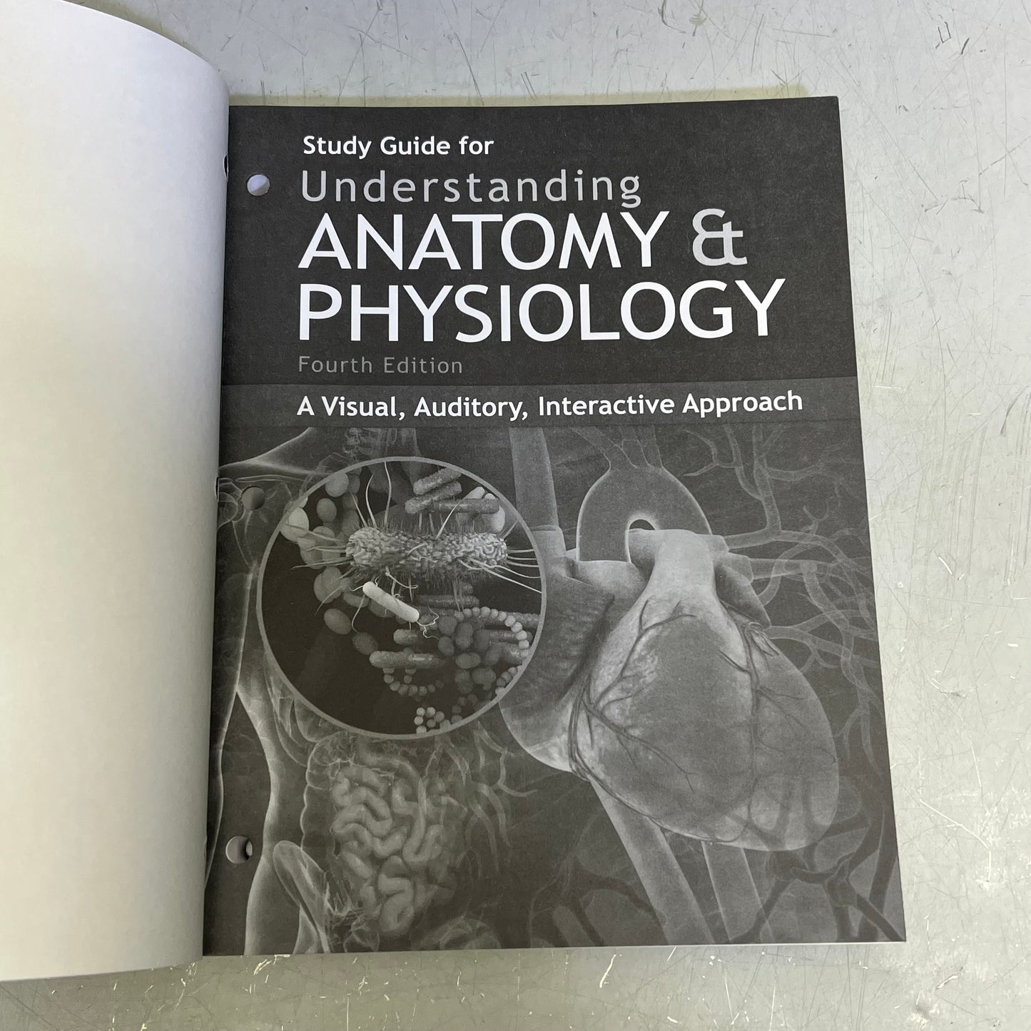 STUDY GUIDE FOR UNDERSTANDING ANATOMY & PHYSIUOLOGY 4TH ED Paperback Book