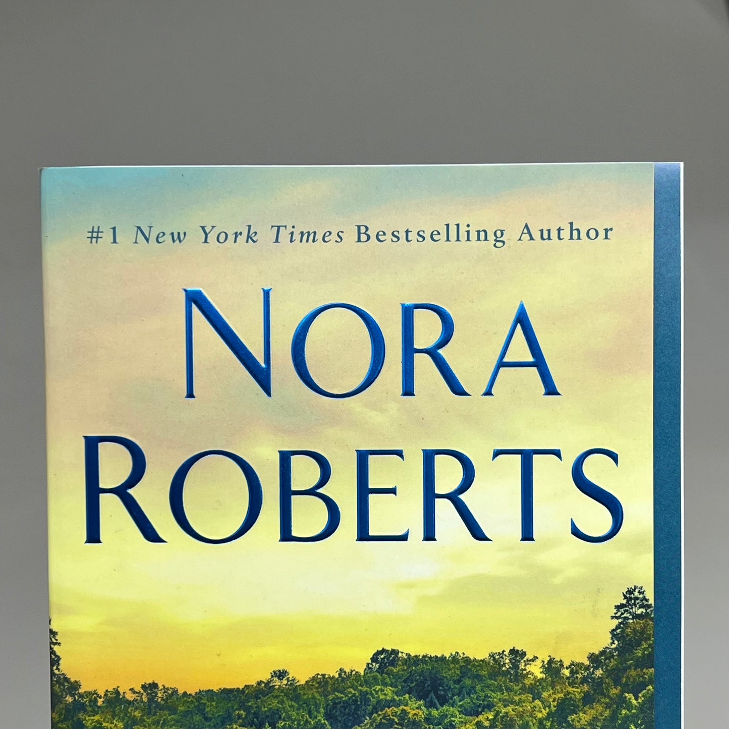 IDENTITY by Nora Roberts - Thrilling Story Hardcover Bestseller