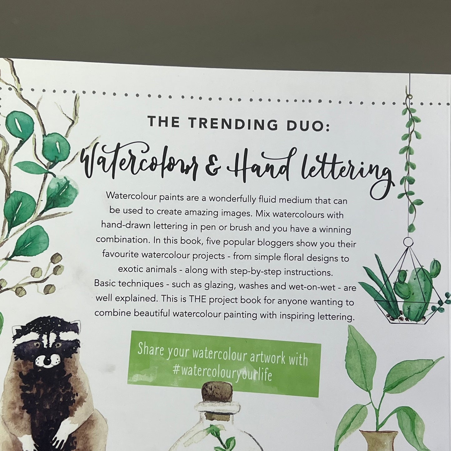 WATERCOLOR MEETS HANDLETTERING A Book Of Blogger Projects Paperback Book