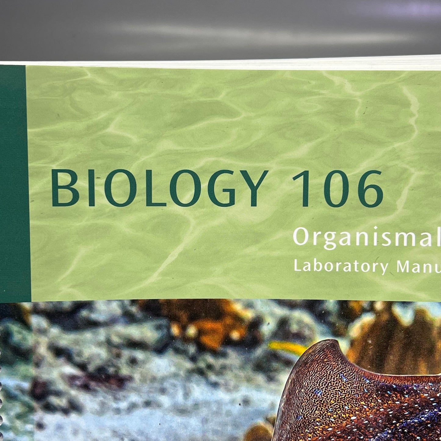 BIOLOGY 106 Organism Biology Spiral Laboratory Manual By Hayden Mcneil 7412-9