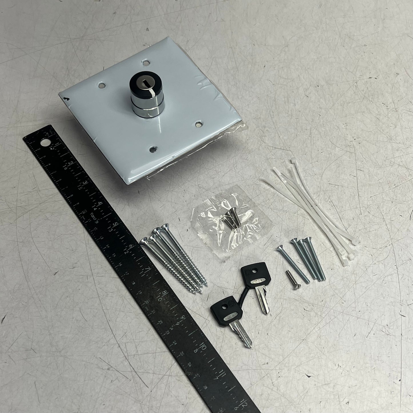 WON DOOR CORPORATION Keyswitch Assembly W/ Hardware for Door Silver 017741