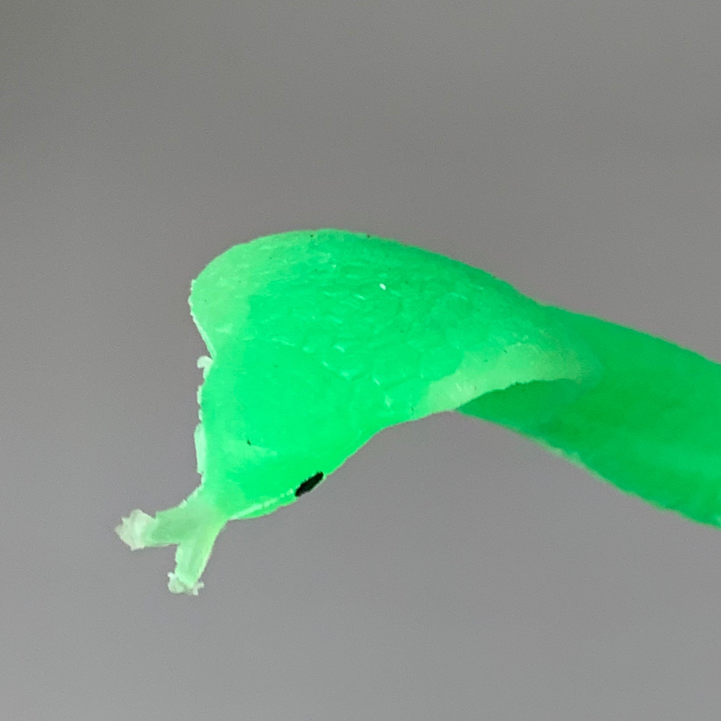 SLITHERY SNAKE (2 PACK) Glow in the Dark Squishy Snake Toy Neon Green 31-0020