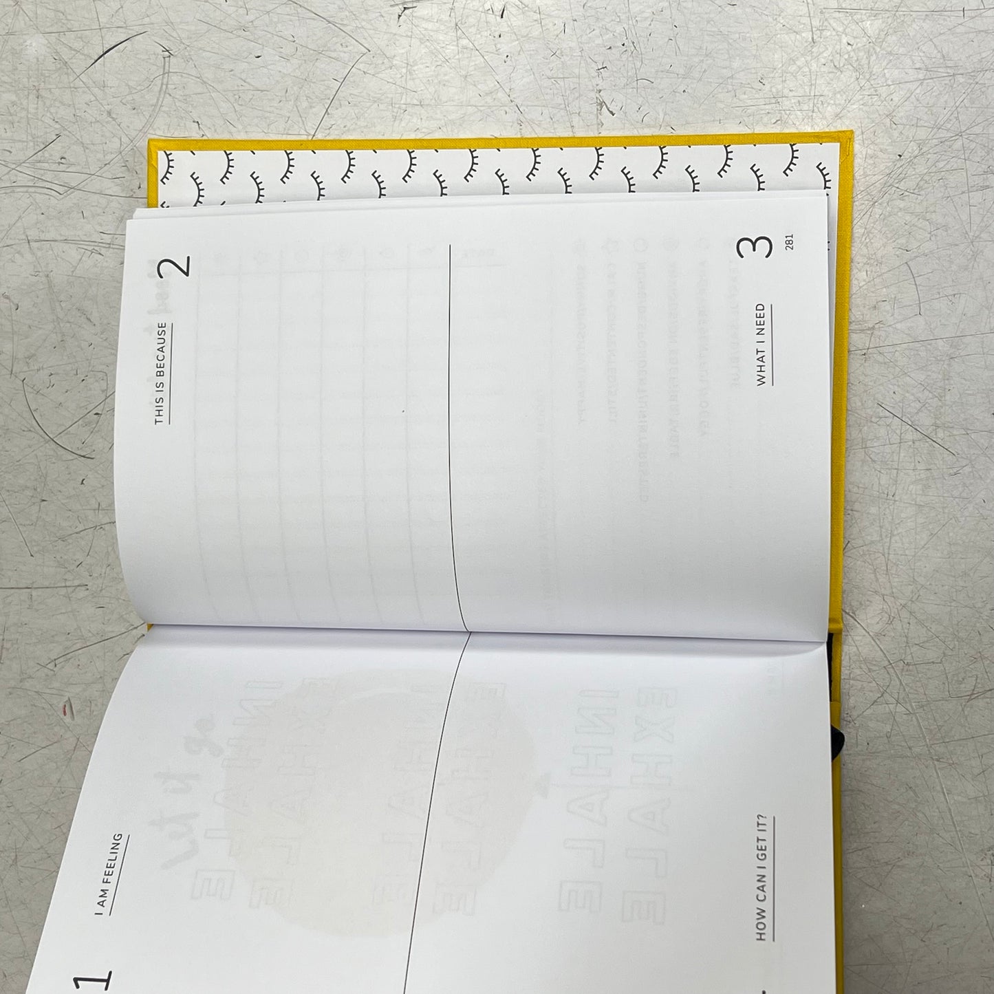 THE POSITIVE PLANNER 12-Week Planner Help Prioritize Mental Health Hardback Book