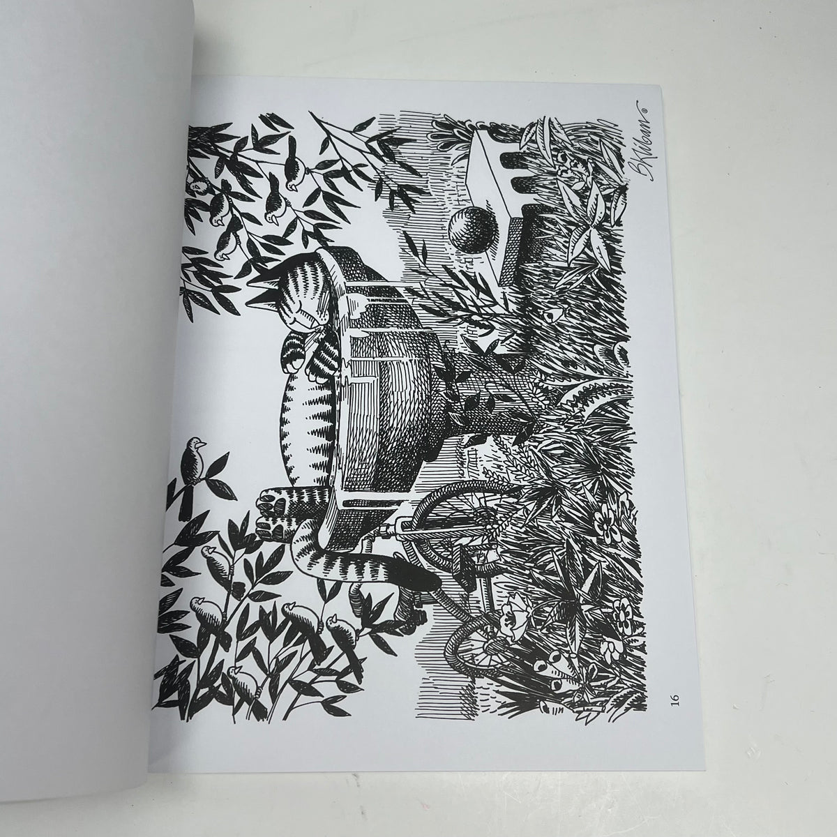 ZA@ POMEGRANATE B. Kliban Catcolor Coloring Book Soft Cover 22 Images