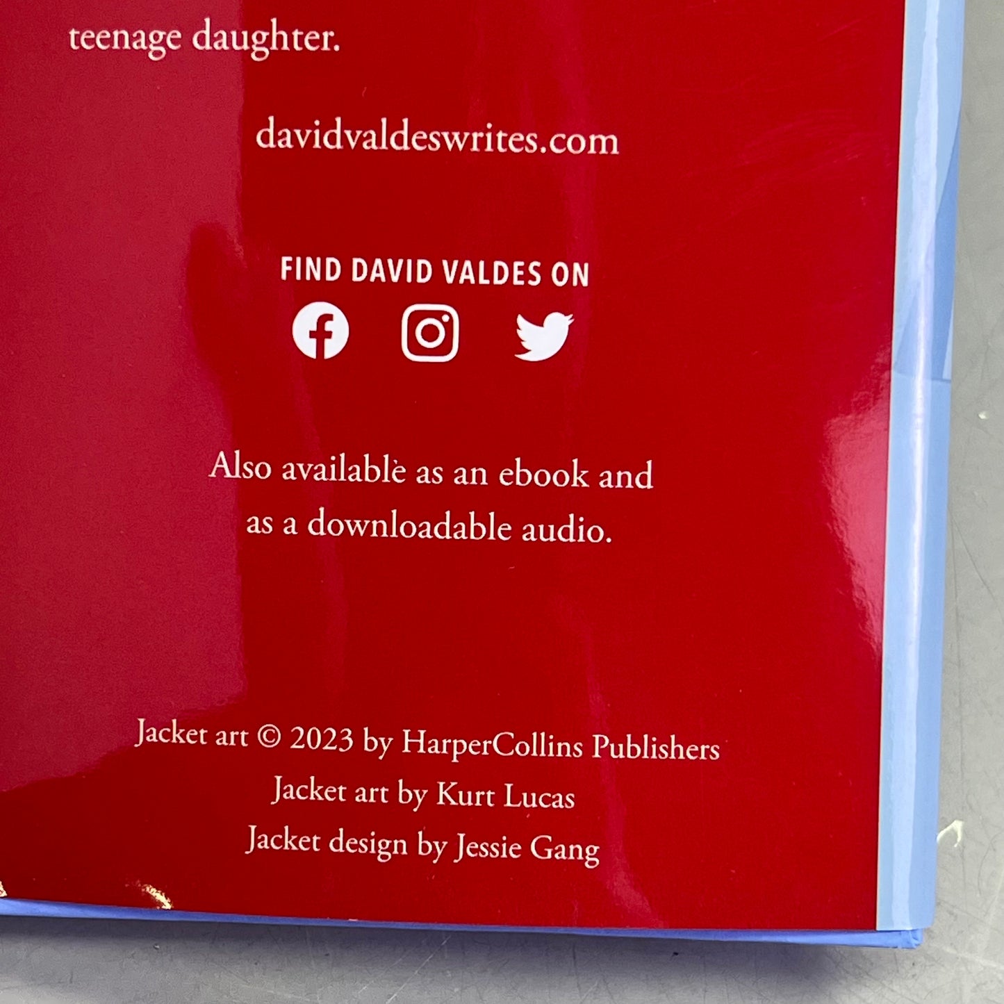 FINDING MY ELF Young Adult Fiction Christmas Hardcover Book By David Valdes