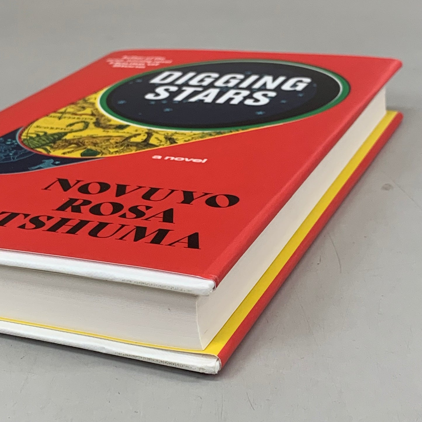 NORTON Novuyo Rosa Tshuma Digging Starts 288 Pages