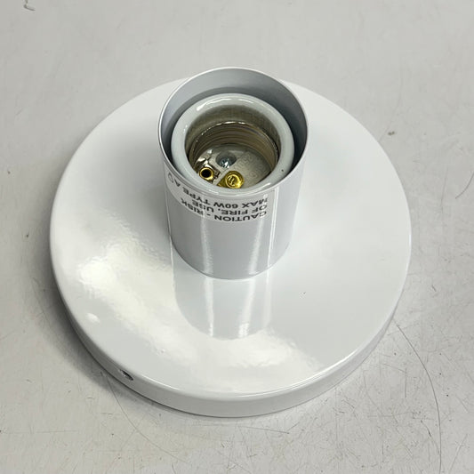 DUTTON BROWN Flush Mount Ceiling Fixture  120V 60HZ AC MIN Twink White 60132