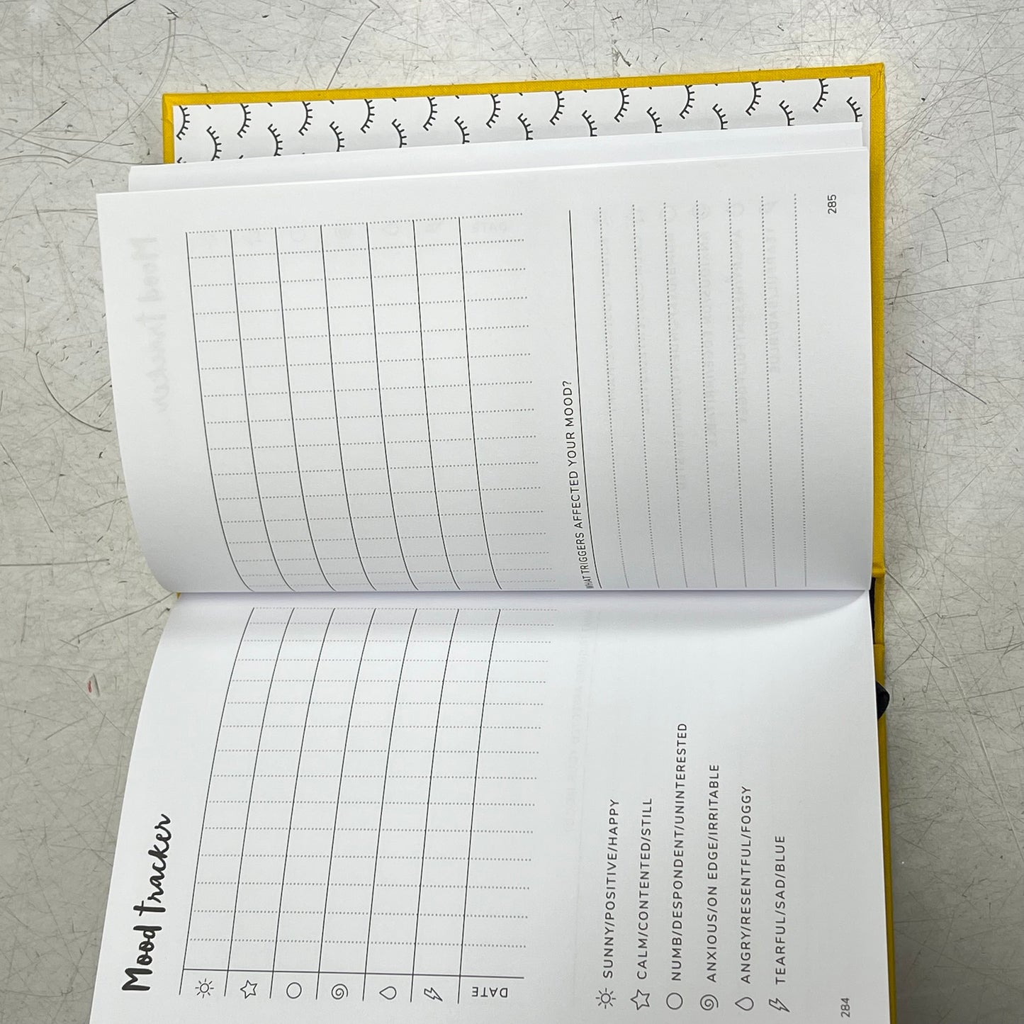 THE POSITIVE PLANNER 12-Week Planner Help Prioritize Mental Health Hardback Book