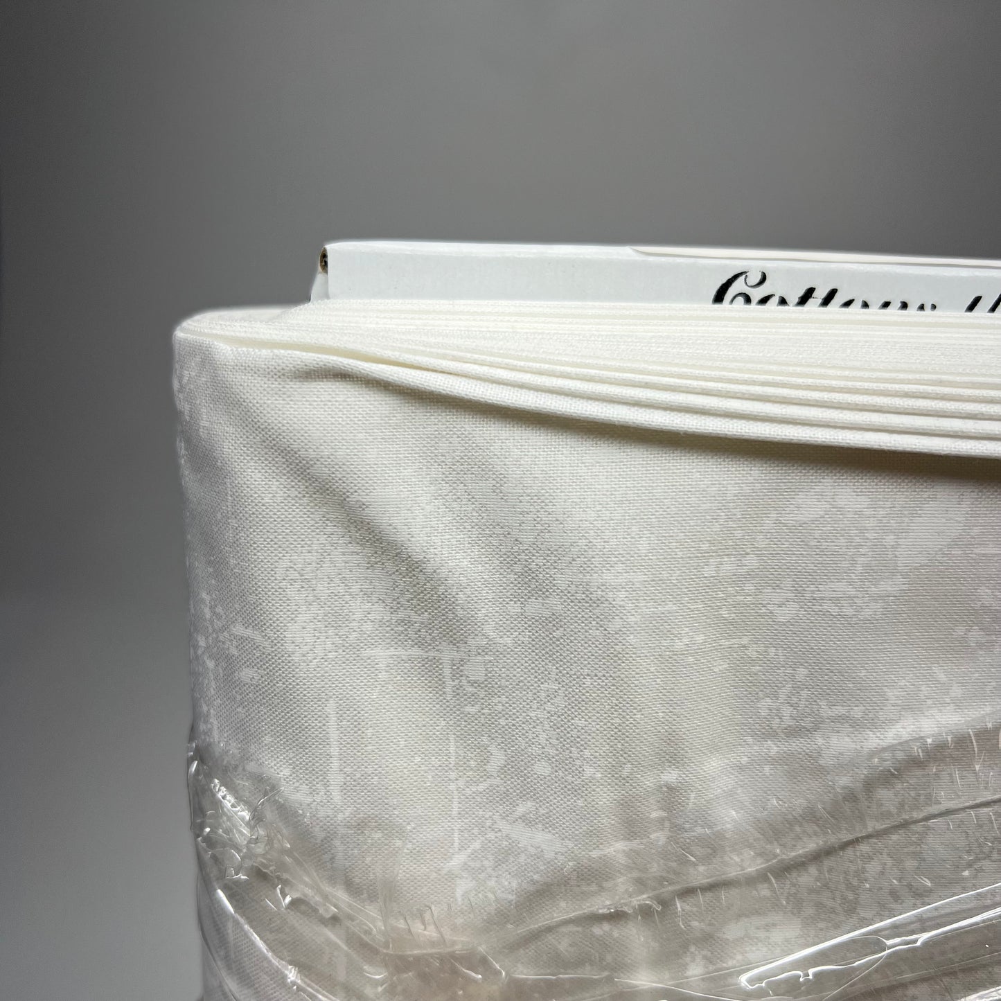 NORTHCOTT Canvas Basics Cracked Texture Design 15 Yds White Wash 9030-10