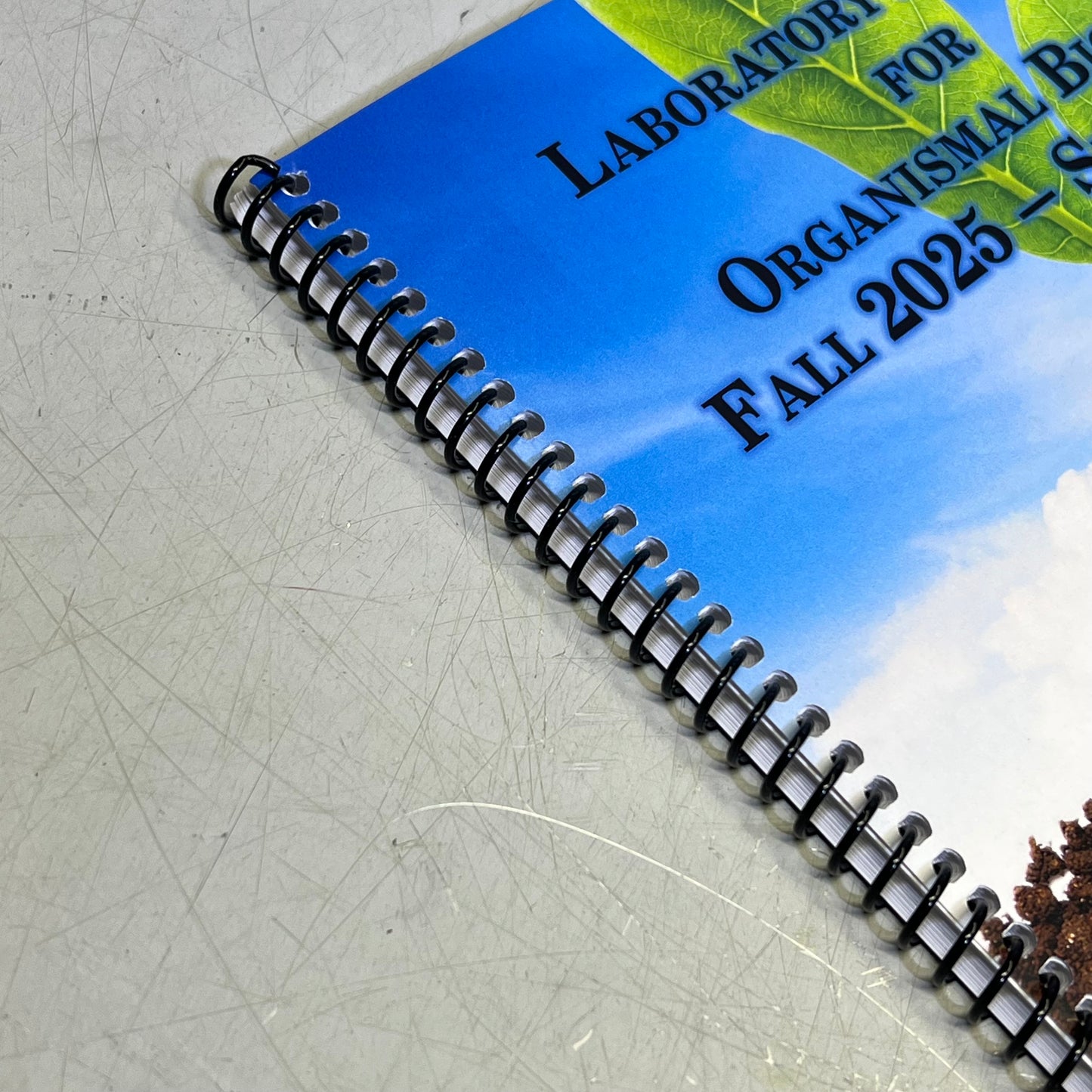 LABORATORY EXERCISES FOR ORGANISMAL BIOLOGY FALL 2025 SPRING 2026 Spiral Book