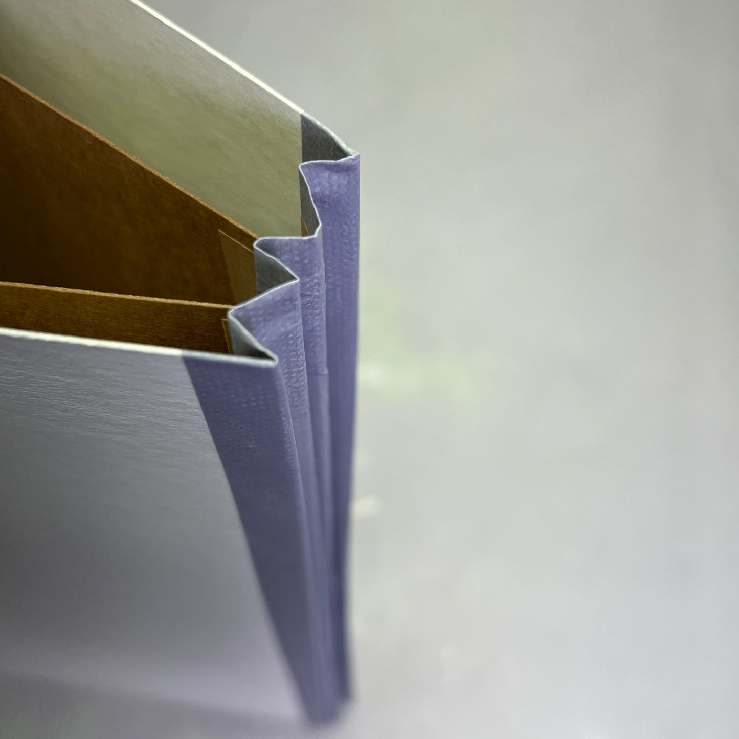 SMEAD (10 PACK) Safe Shield Pressboard Classification File Folders Green 19076