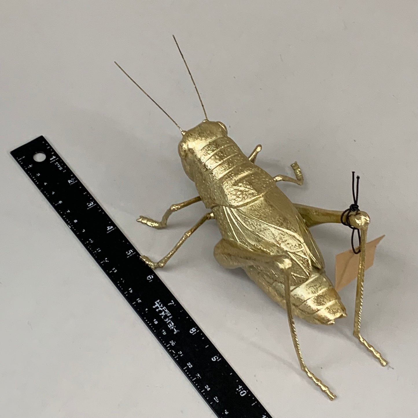 CREATIVE CO-OP Gold Resin Cricket Figurine 10"x4.5"x4.5" Overall Length Gold DF1054