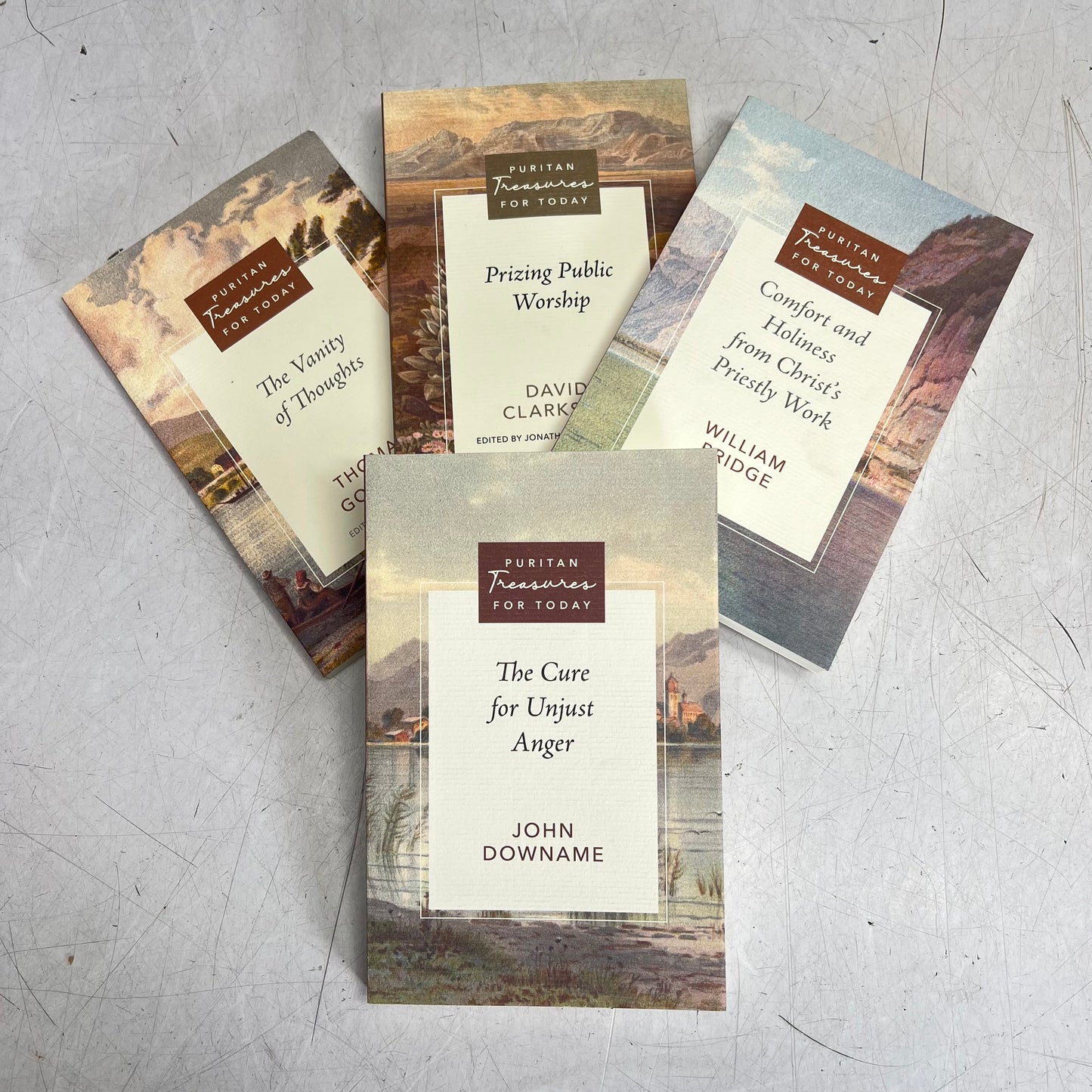 PURITAN TREASURES FOR TODAY 19 Volume Bundle Paperback Books Authentic Faith