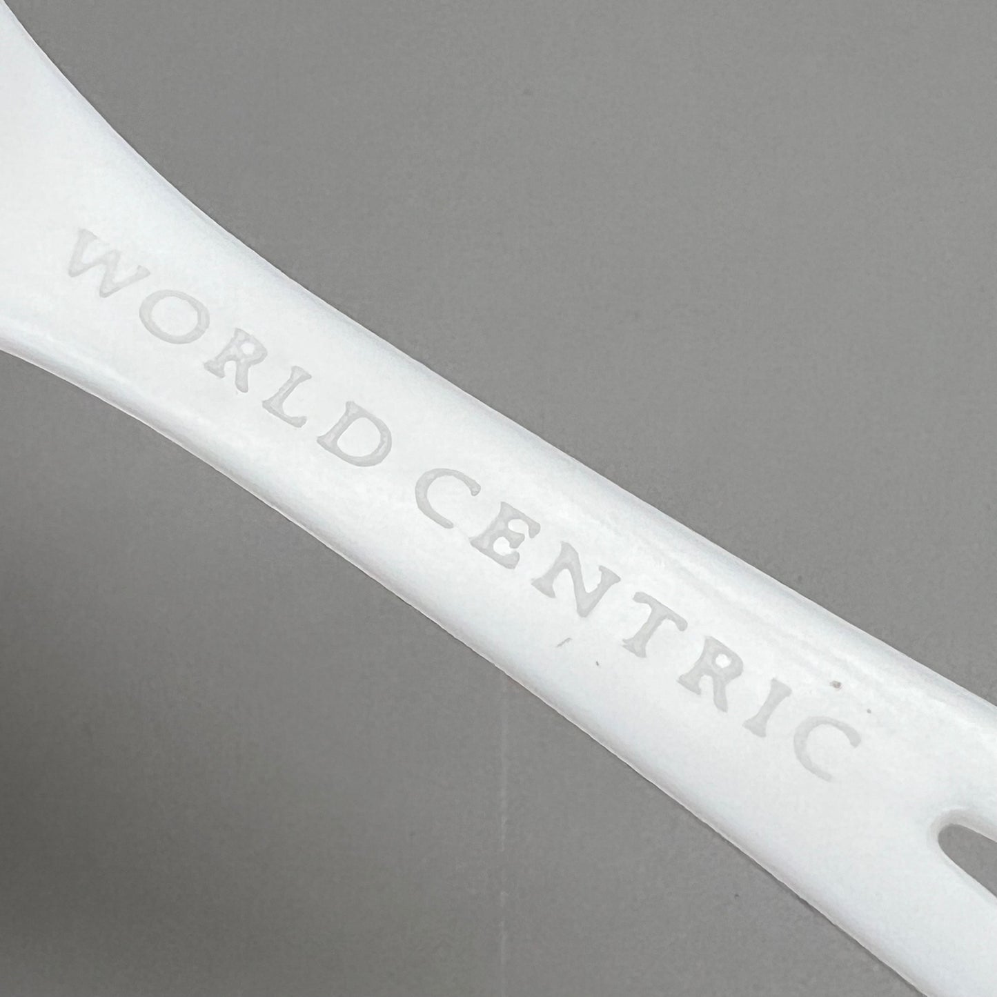 WORLD CENTRIC 1000PK! Compostable Ice Cream Spoons 6" SP-CS-WH