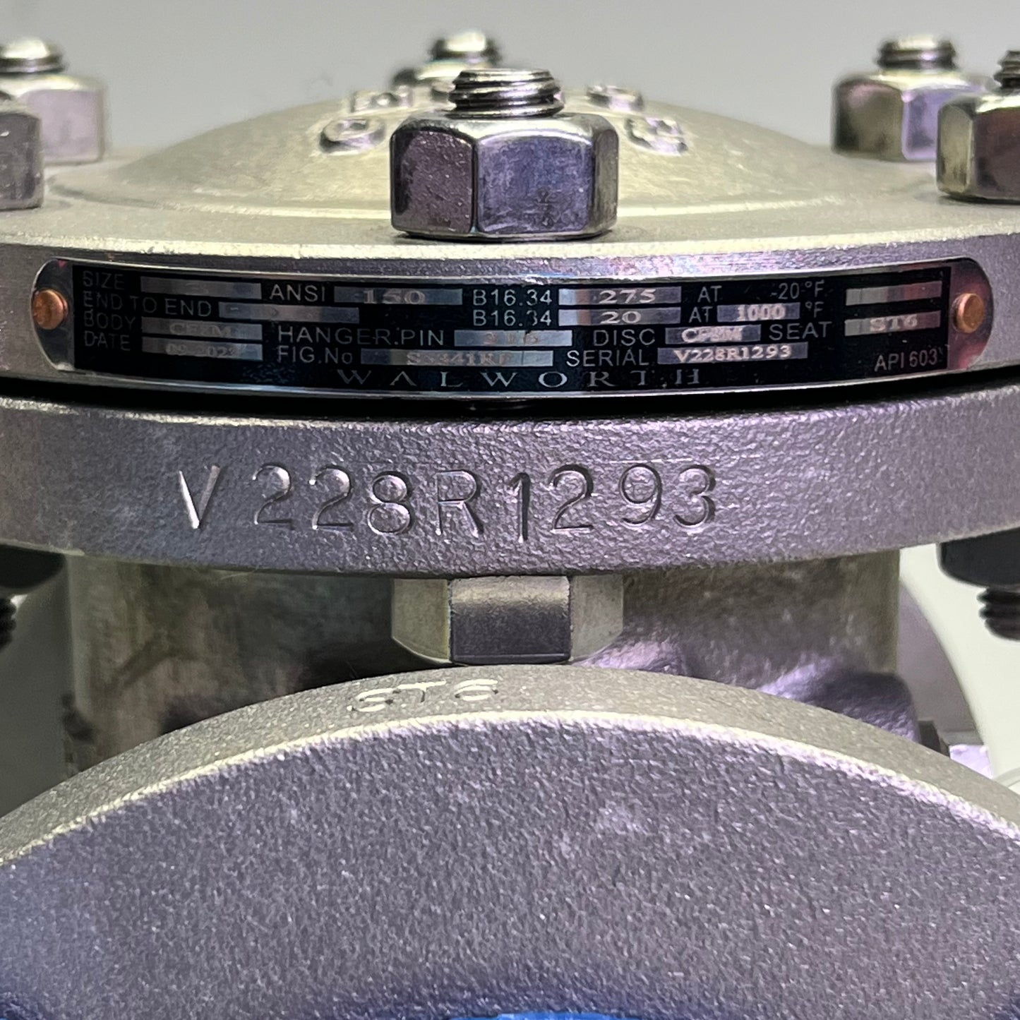 WALWORTH Check Valve Vr 3" 150 Class, S5341RF 3HF CF8M