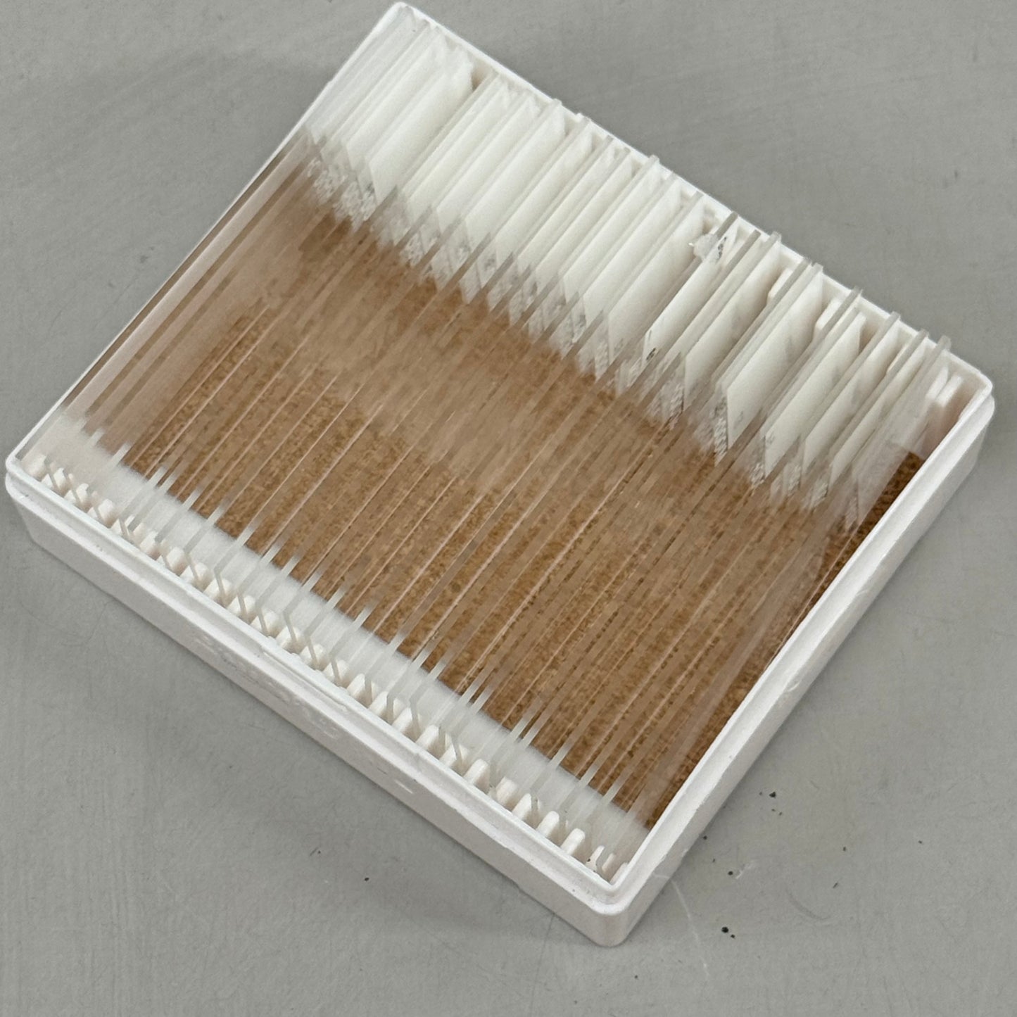 STATLAB (25 Pack) Gram Stain +/- Control Slides For Medical Use 80857H BB:12/26