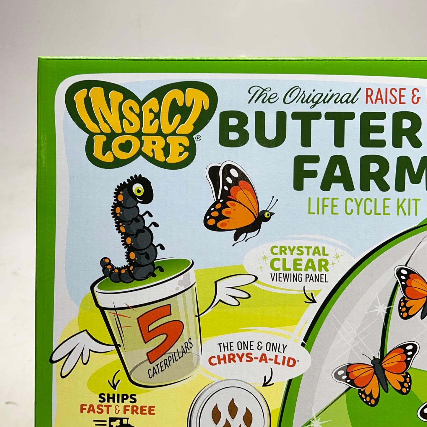 INSECT LORE The Original Raise & Release Butterfly Farm Life Cycle Kit  1015