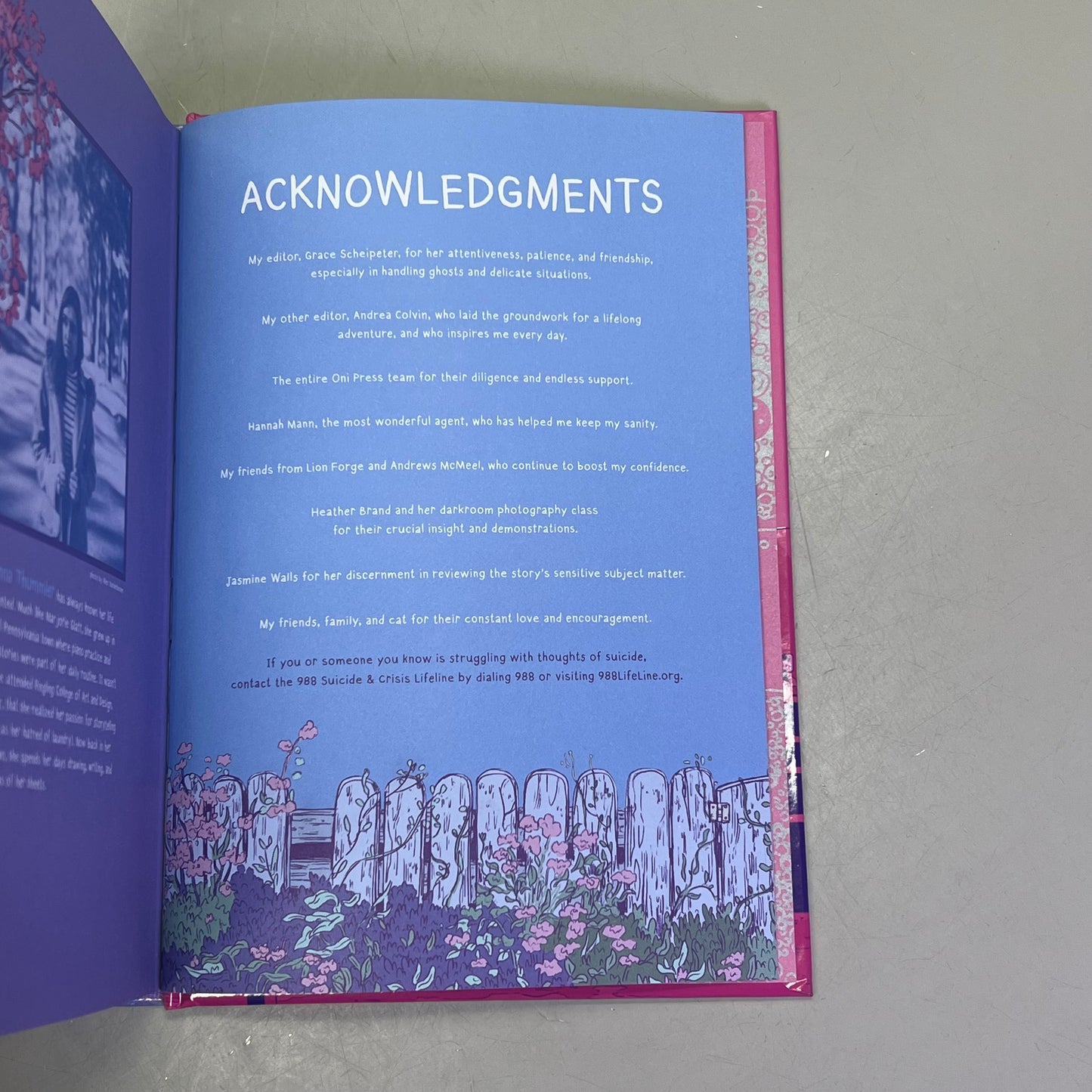 DELICATES  Hardback Book Deluxe Edition The Sequel To Sheets By Brenna Thummler