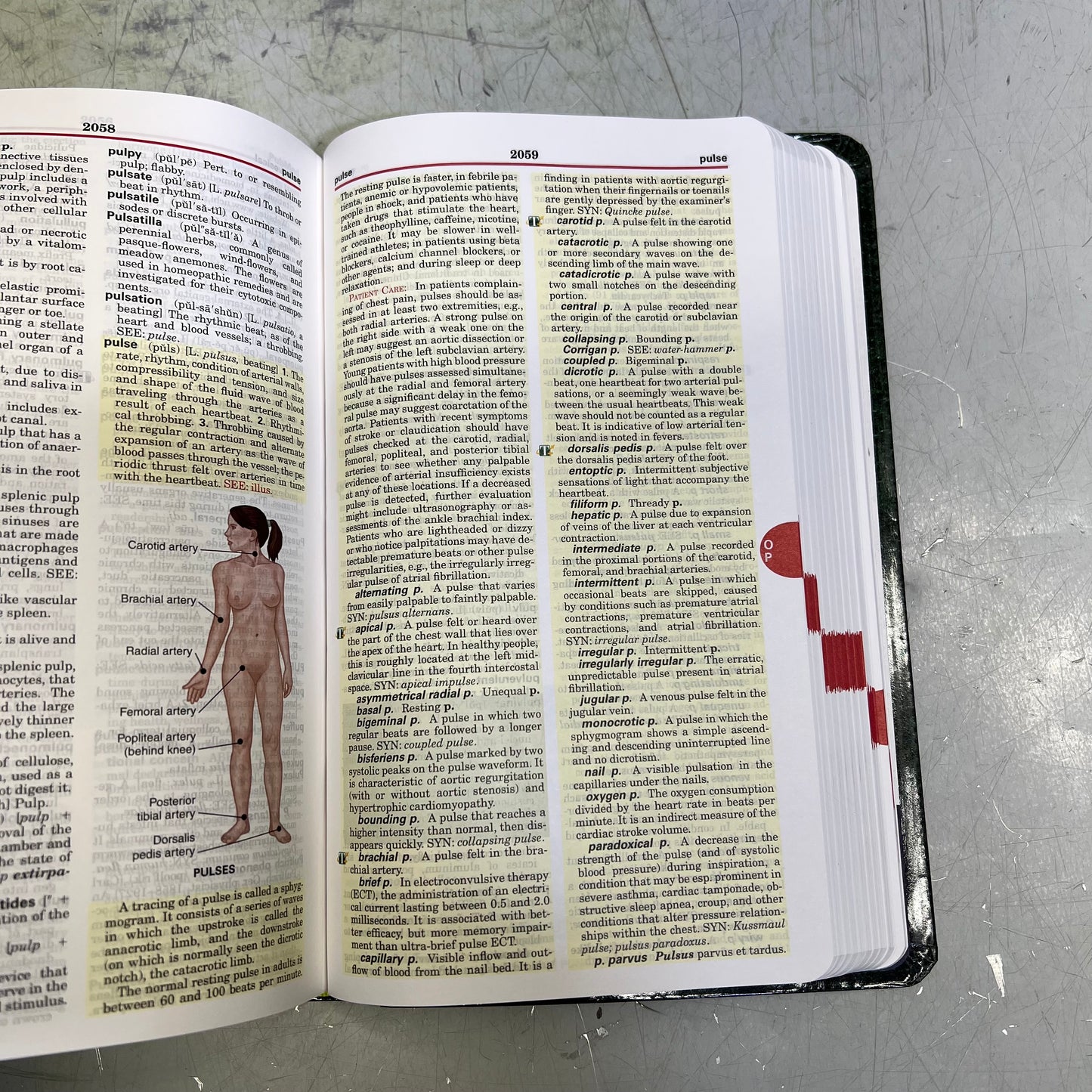 EDITION 25 TABER'S CYCLOPEDIC MEDICAL DICTIONARY Paperback Book By Donald Venes