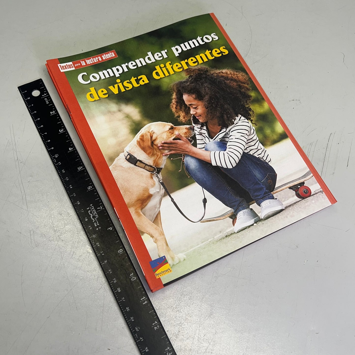 BENCHMARK EDUCATION (10 SET) Multiple Learning Point Books Grade 4 Spanish Edition
