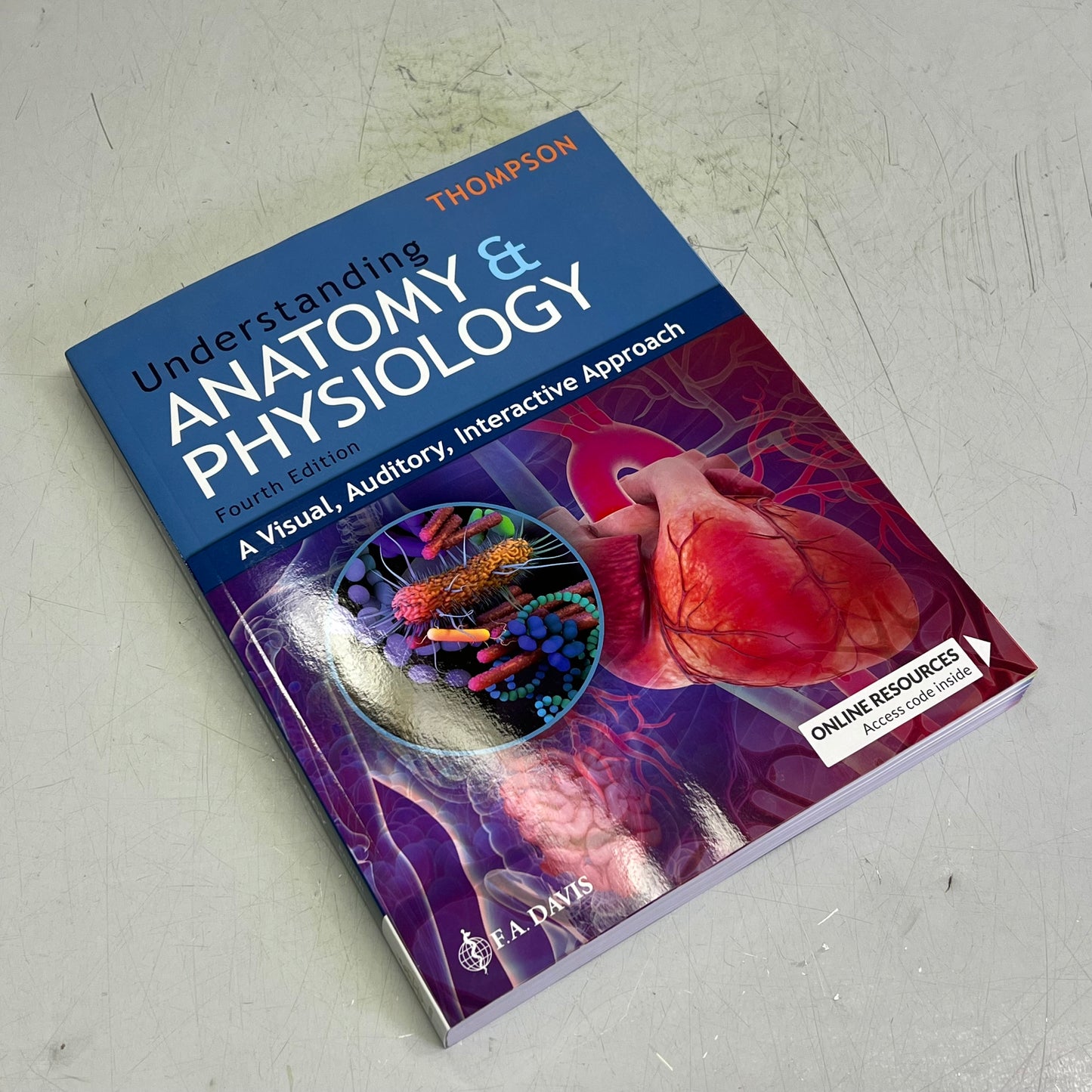 UNDERSTANDING ANATOMY & PHYSIOLOGY 4th Edition Paperback Book F.A. DAVIS