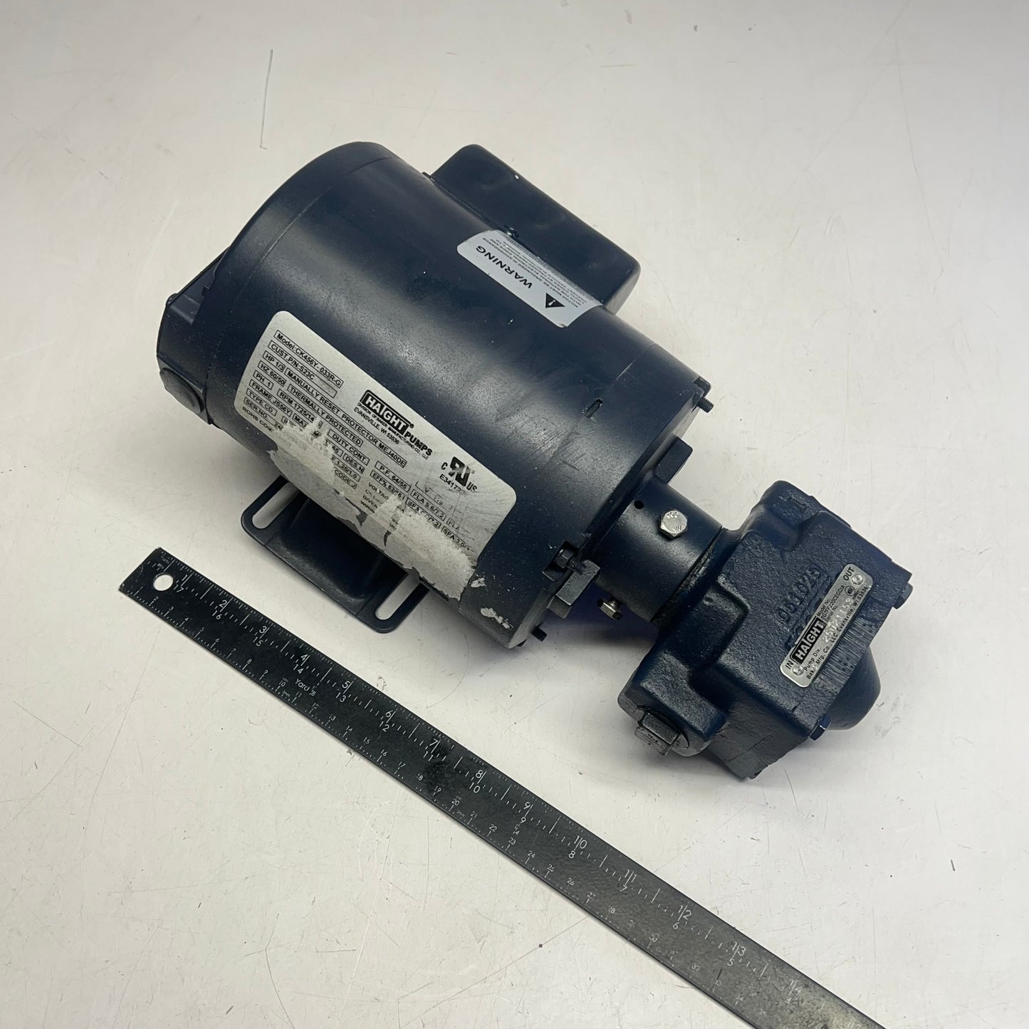HAIGHT Pump & Motor Hot Oil/fryer Unit 1/3HP 115V CK456Y-033R-G (New Other)