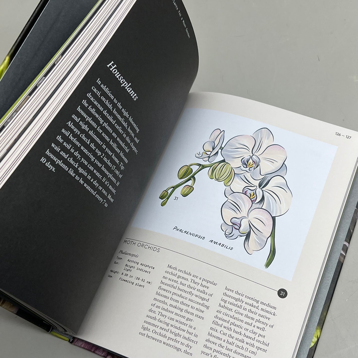 MOON GARDEN By Jarema Osofky Guide To Creating An Evening Oasis Hardcover Book