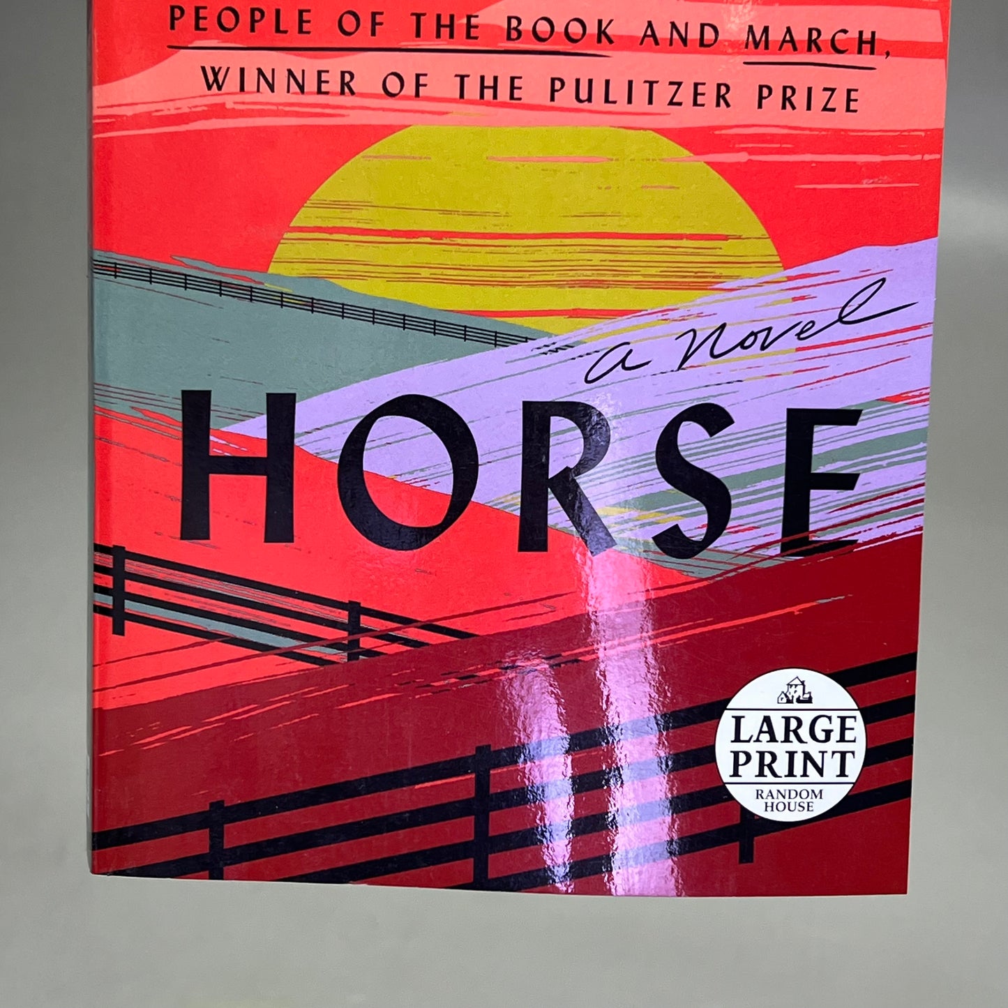 HORSE Animal Fiction Novel By Geraldine Brooks Paper Back Book Large Print