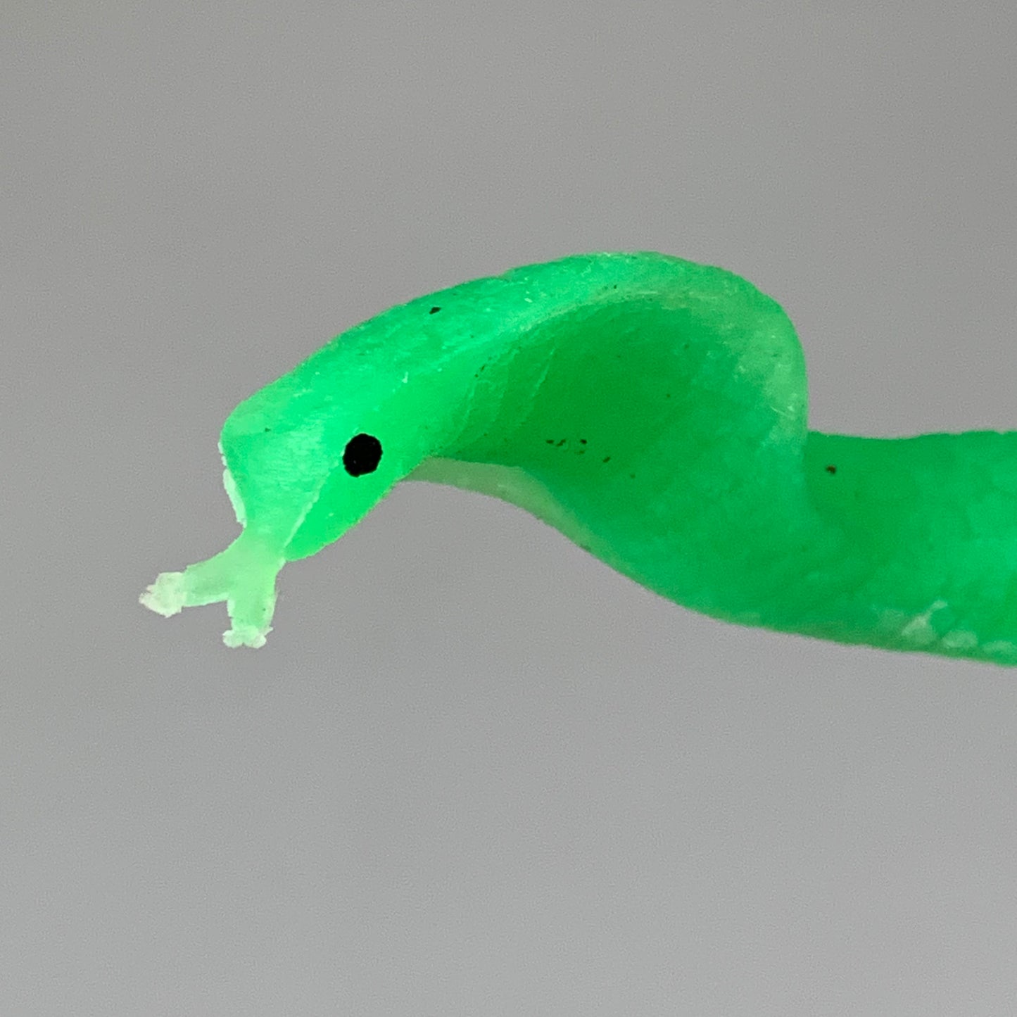 SLITHERY SNAKE (2 PACK) Glow in the Dark Squishy Snake Toy Neon Green 31-0020