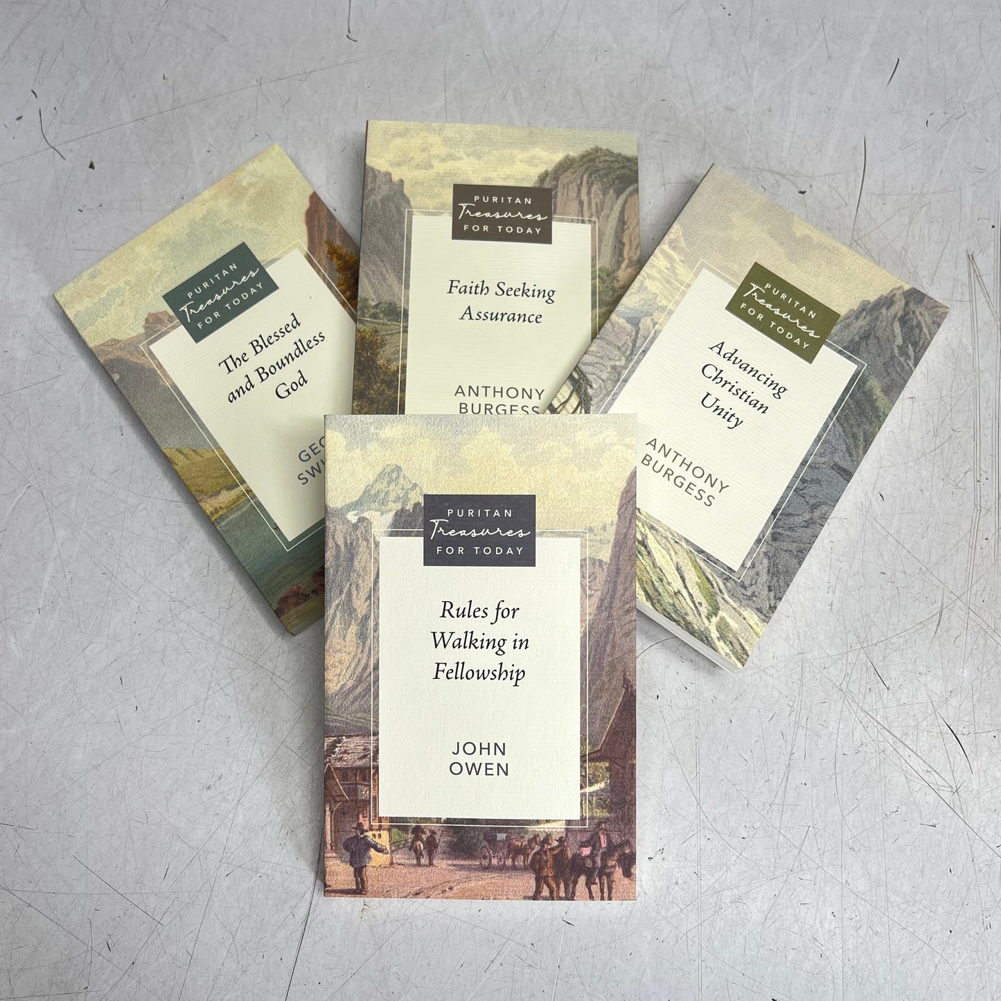 PURITAN TREASURES FOR TODAY 19 Volume Bundle Paperback Books Authentic Faith