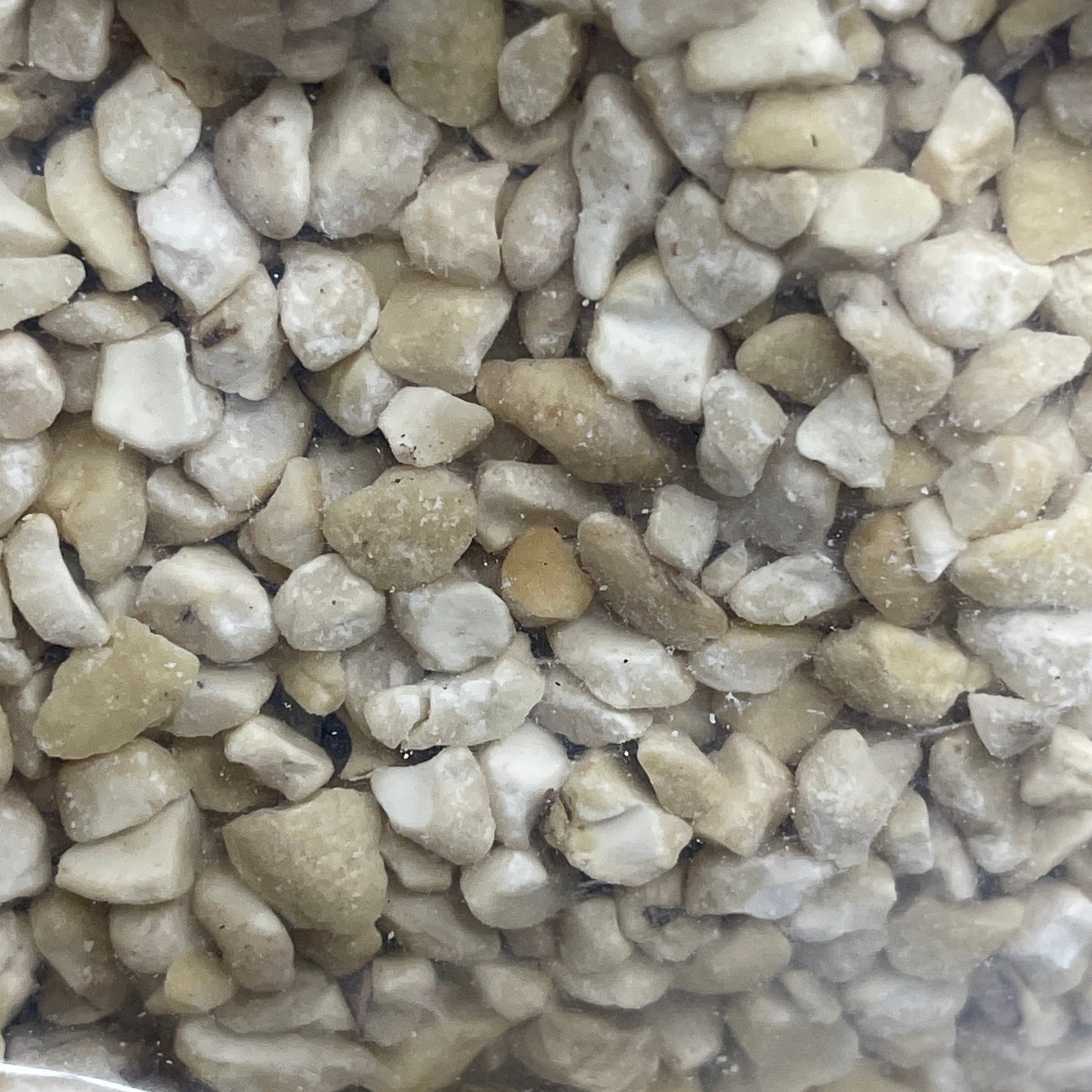 OLAM 100% Organic Blanched Cashew Kernels 50 LBS