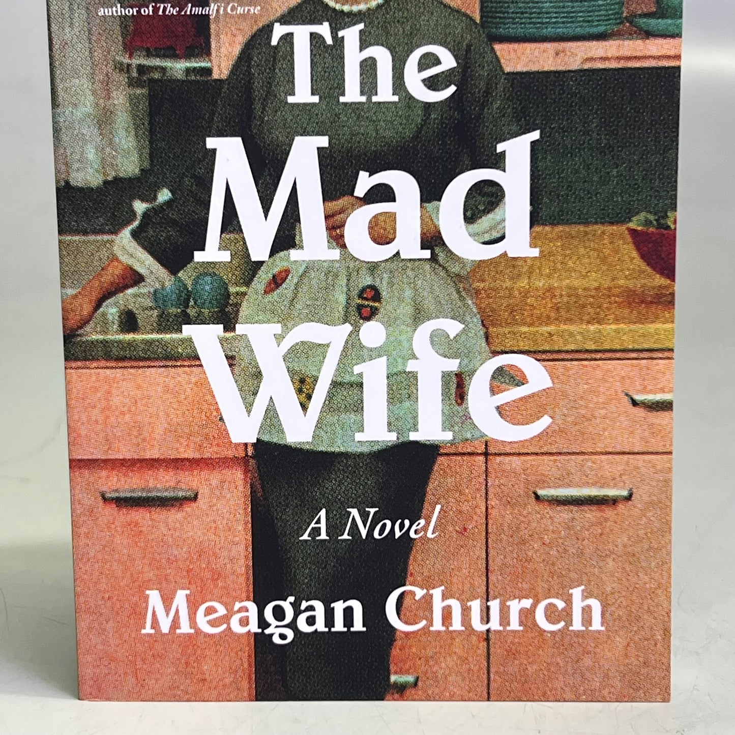 THE MAD WIFE Megan Church, A Haunting, Hopeful Tale of Resilience